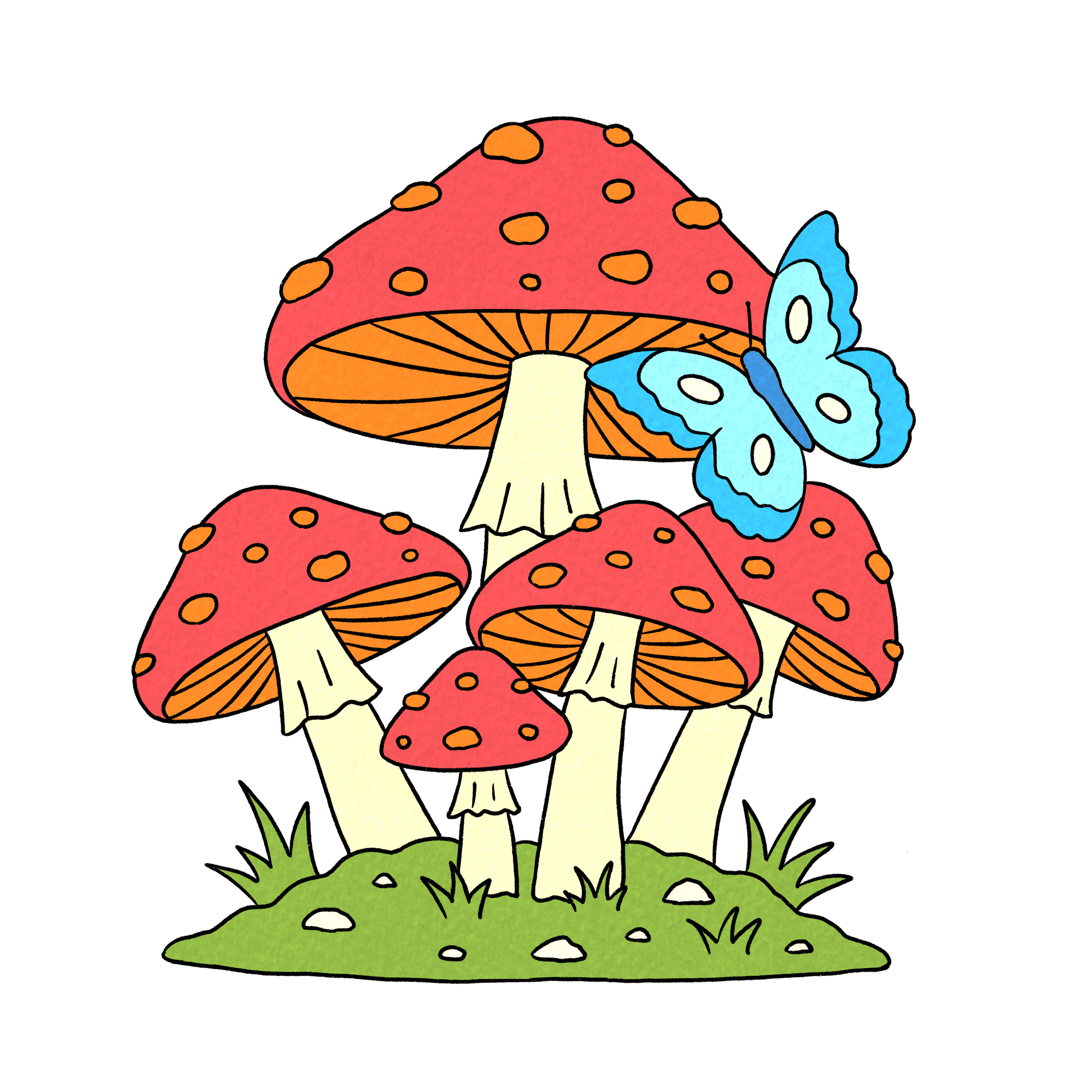 Drawing of five red mushrooms with white stems and orange spots, green grass at the base, and a blue butterfly flying near the largest mushroom.