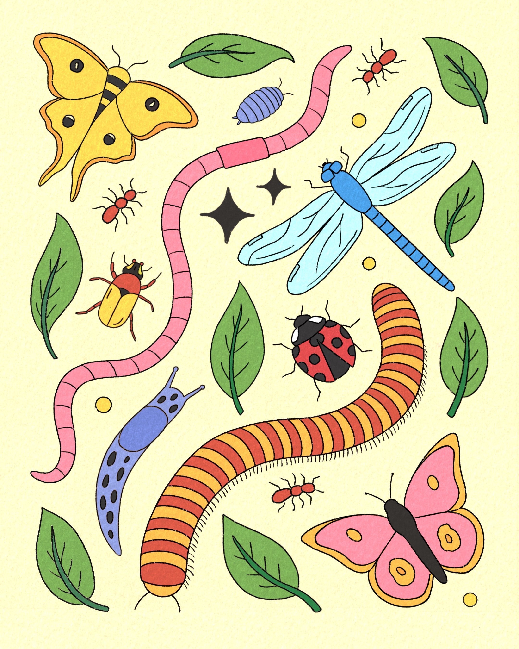 Untitled_Artwork 1.jpg