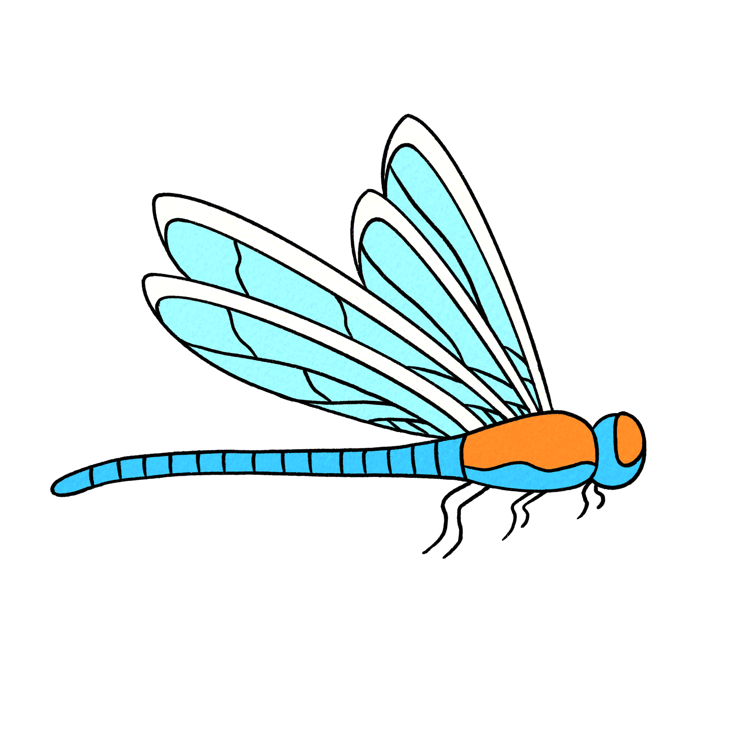 Illustration of a blue and orange dragonfly with detailed wings on a black background.