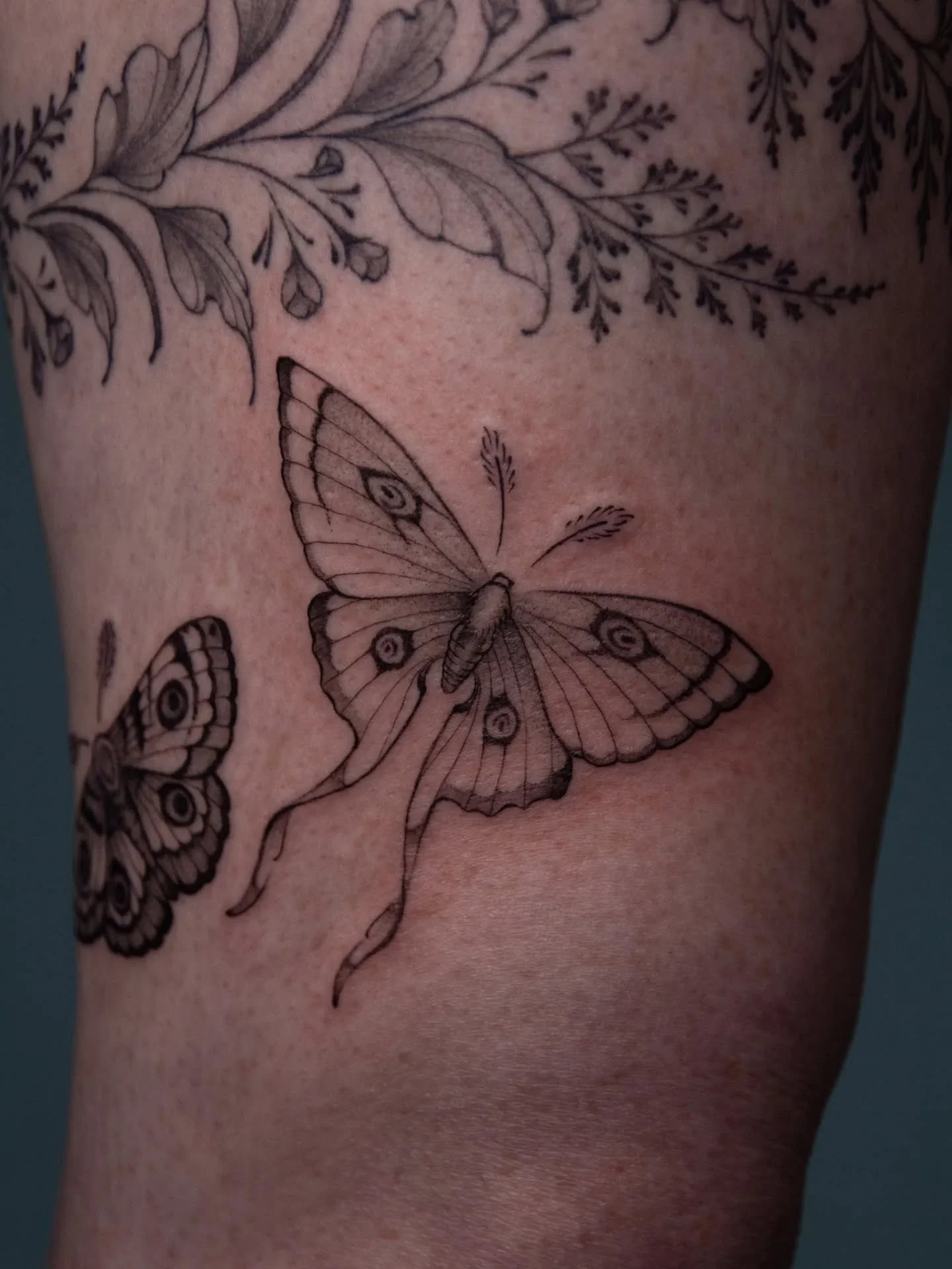 Two moths added to this foliage wrap we did last year 🍃 🍂 🍁 Thanks for coming back to see me! 

Moths, butterflies and plants always welcome 🙏🏾
.
.
.
Fine line moth tattoo Brighton
