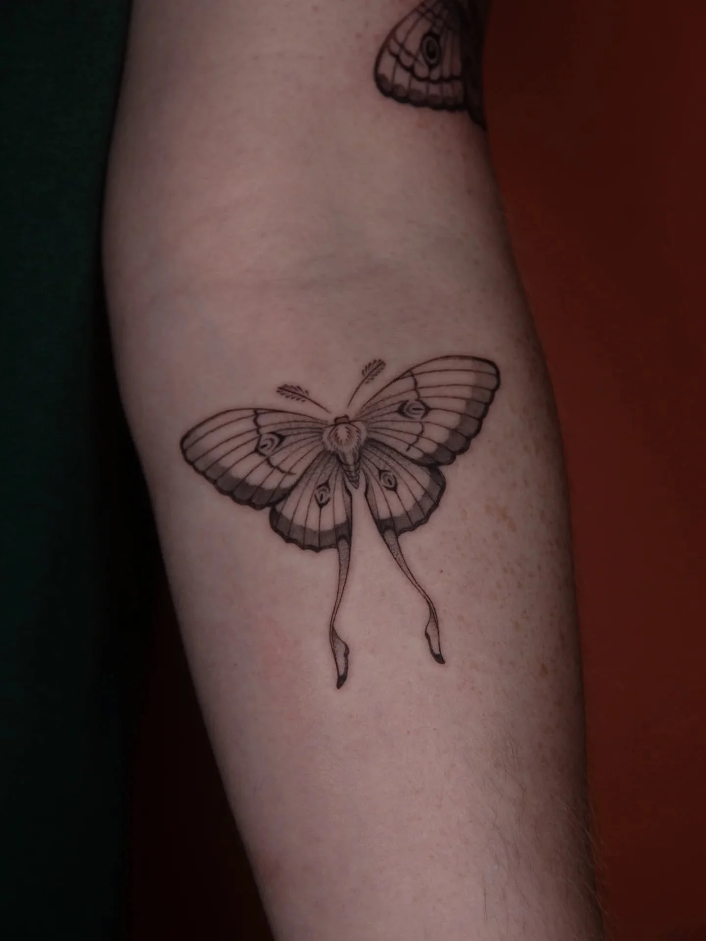 A couple of custom delicate fine line moths 🦋 I'll never get tired of these, more moths please!
.
.
.
If you're new here, I'm a Brighton-based tattoo artist with a love for micro realism, fine line geometry, pin-ups, lady faces, floral, ornamental, 