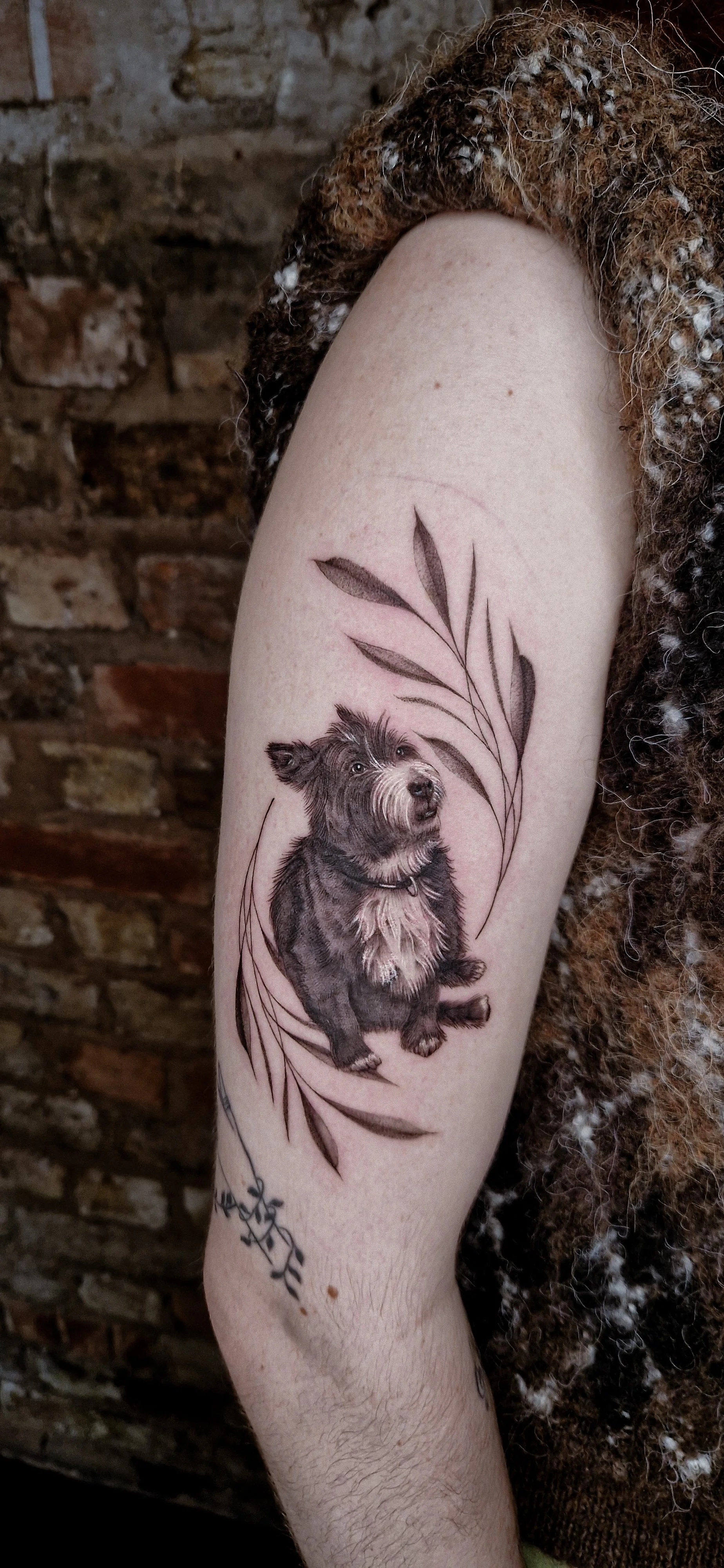 Tattoo of a black and grey dog portrait. The tattoo is decorated with leaves and vines surrounding the dog.