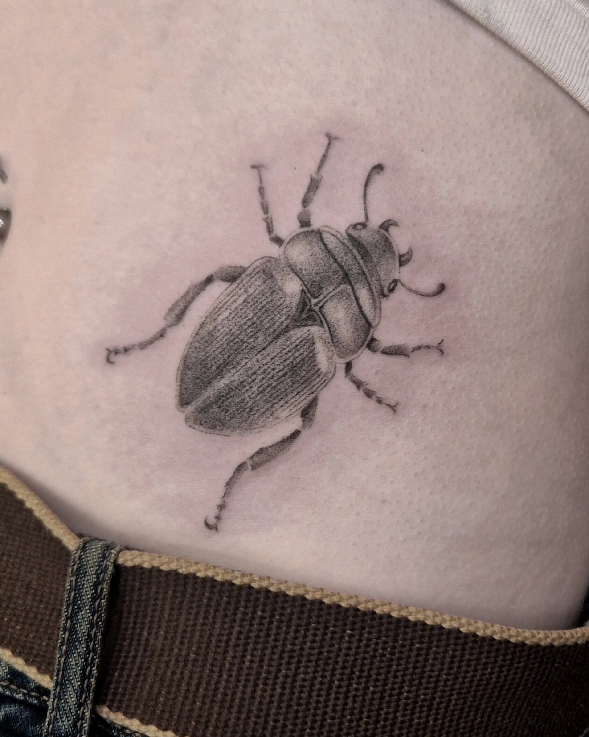 Soft shaded black and grey tattoo of a realistic beetle on the stomach.
