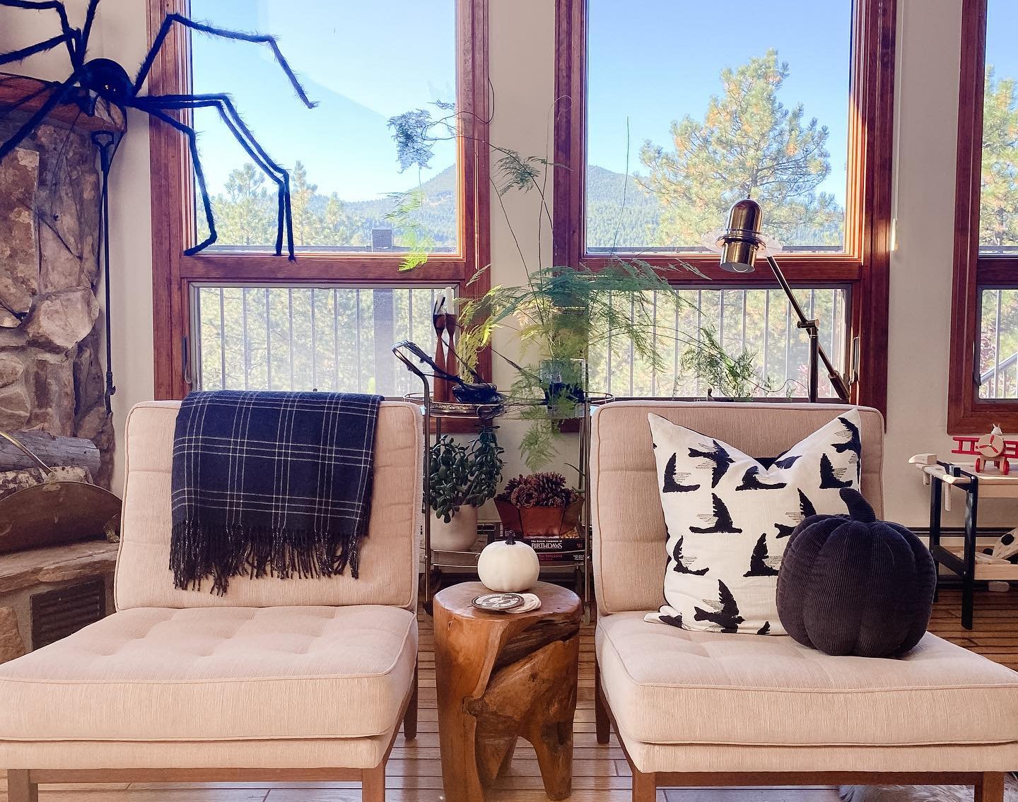 Things are getting spooky in here!  Throw pillows from @westelm 
Throw blanket from @roomandboard 
Vintage Florence Knoll chairs
Spider and webs from @target
