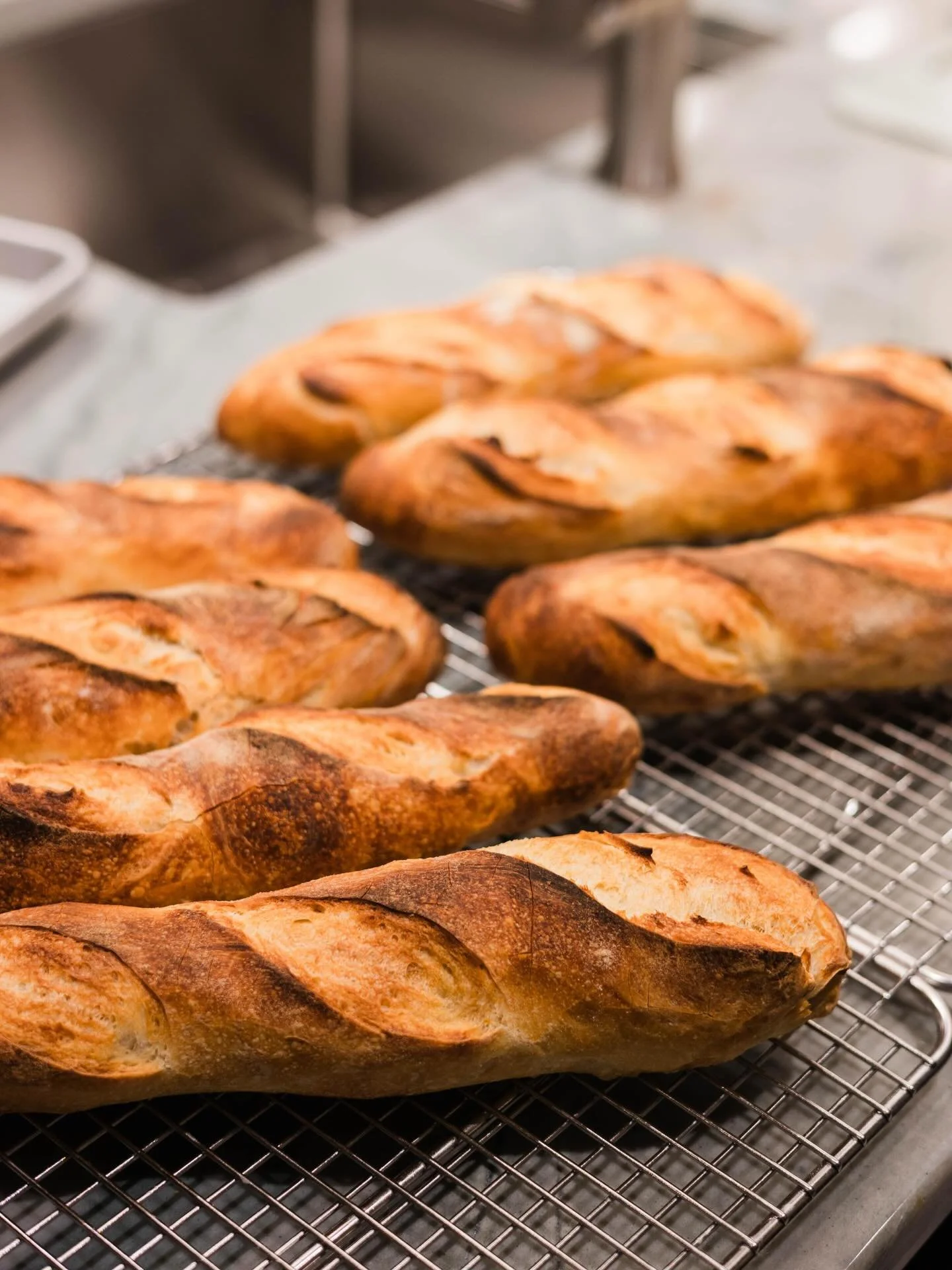 Thank you to everyone who placed bread pre-orders. We&rsquo;re so grateful and look forward to welcoming you to La Belle Vie this Sunday morning.
 
Sunday, March 15 
 
Bread at the Mansion
Open to the Public
7:00 AM &ndash; 10:00 AM
 
The ovens will 