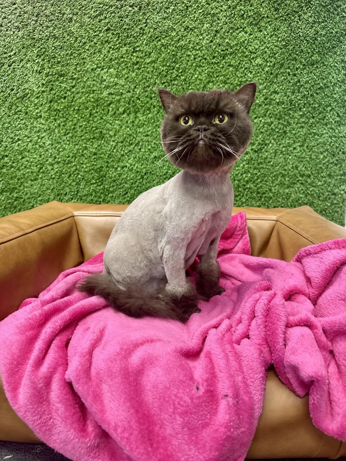 CHLOE.2 - CHRISTINE.jpg