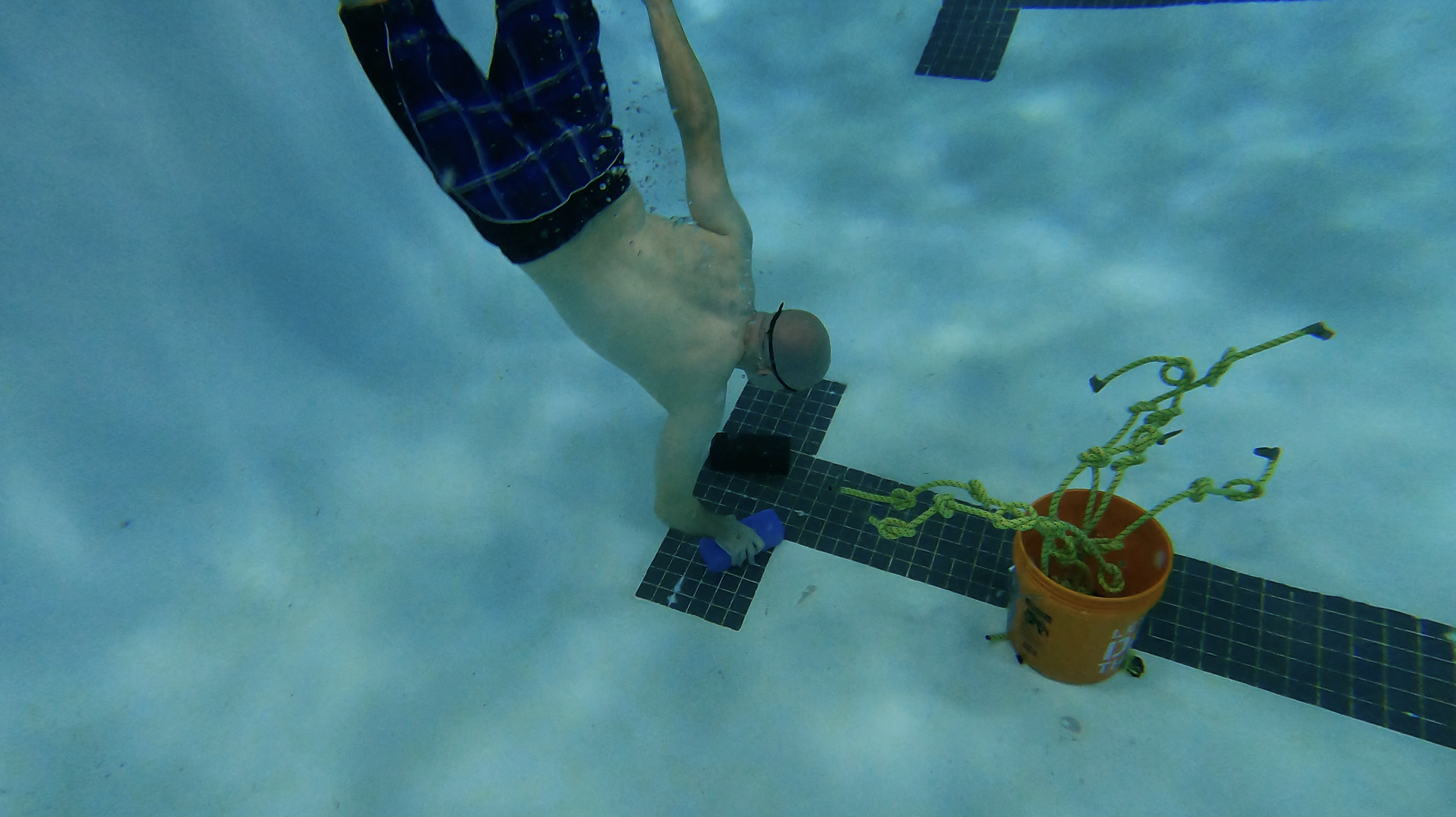 Screen Shot 2022-02-14 at 12.20.22 PM.png