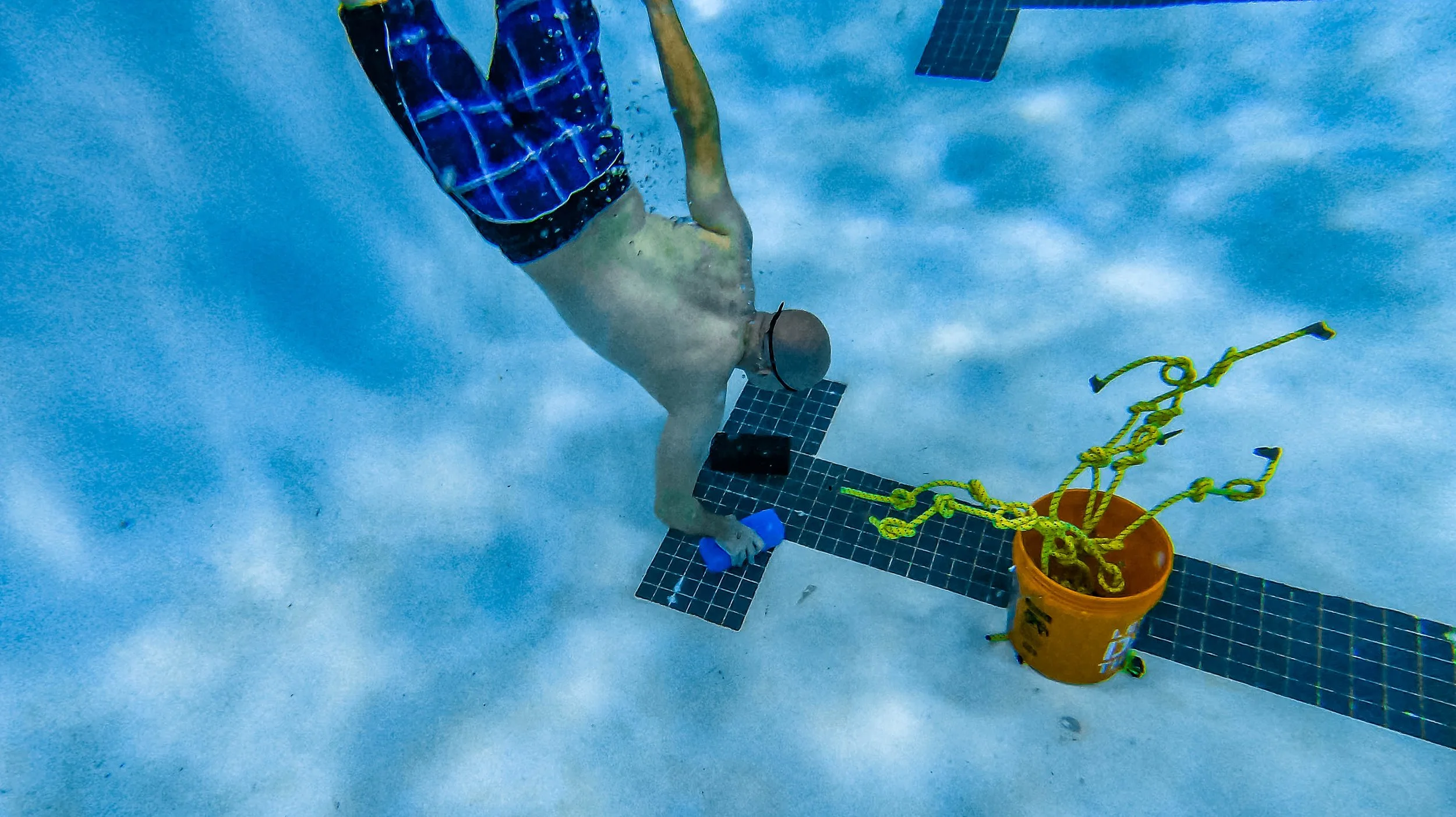 Screen Shot 2022-02-14 at 12.20.22 PM.jpg