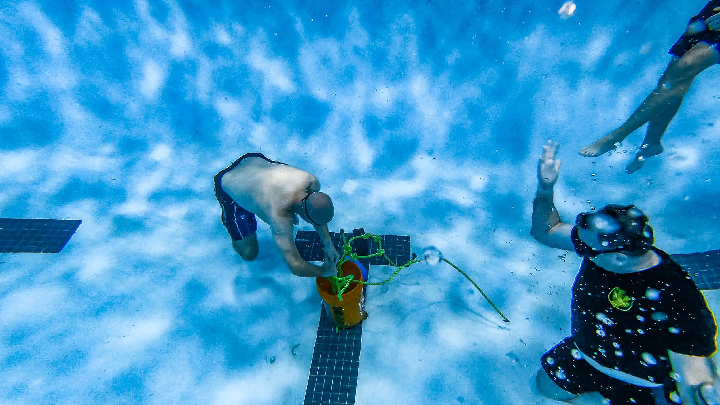 Screen Shot 2022-02-14 at 12.28.54 PM.jpg