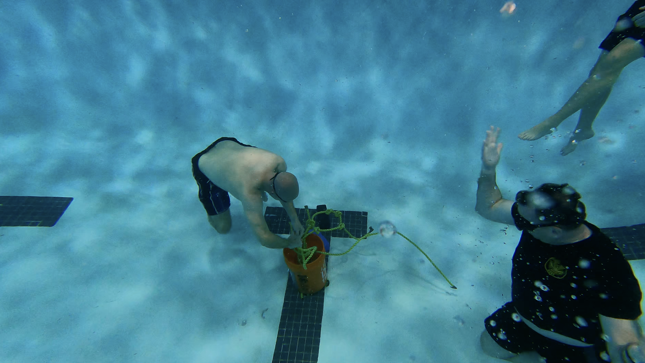 Screen Shot 2022-02-14 at 12.28.54 PM.png