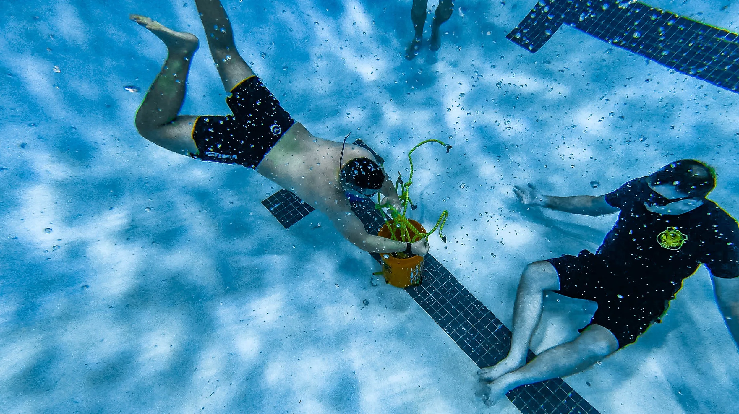 Screen Shot 2022-02-14 at 12.27.00 PM.jpg