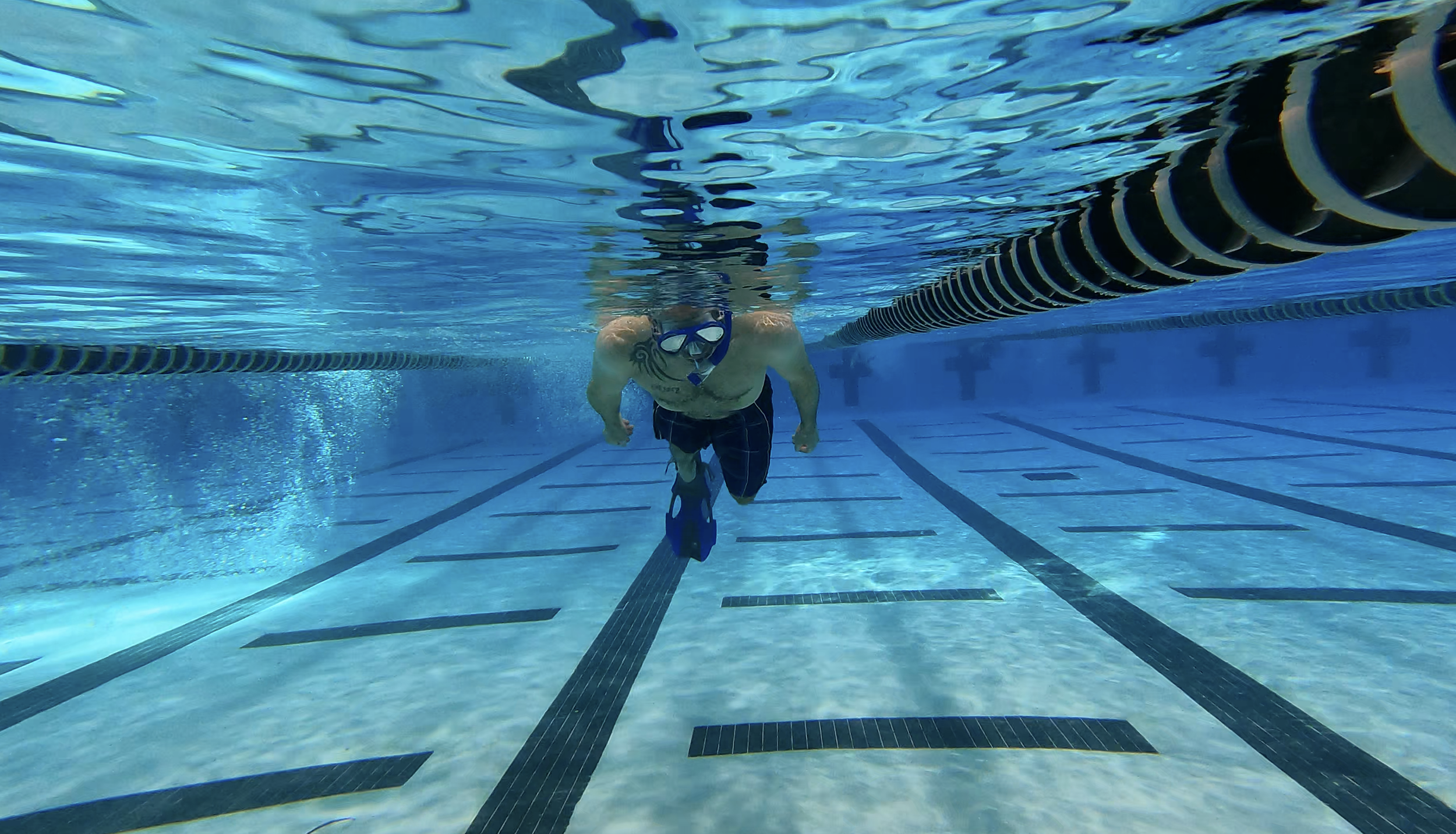 Screen Shot 2022-02-14 at 12.12.37 PM.png