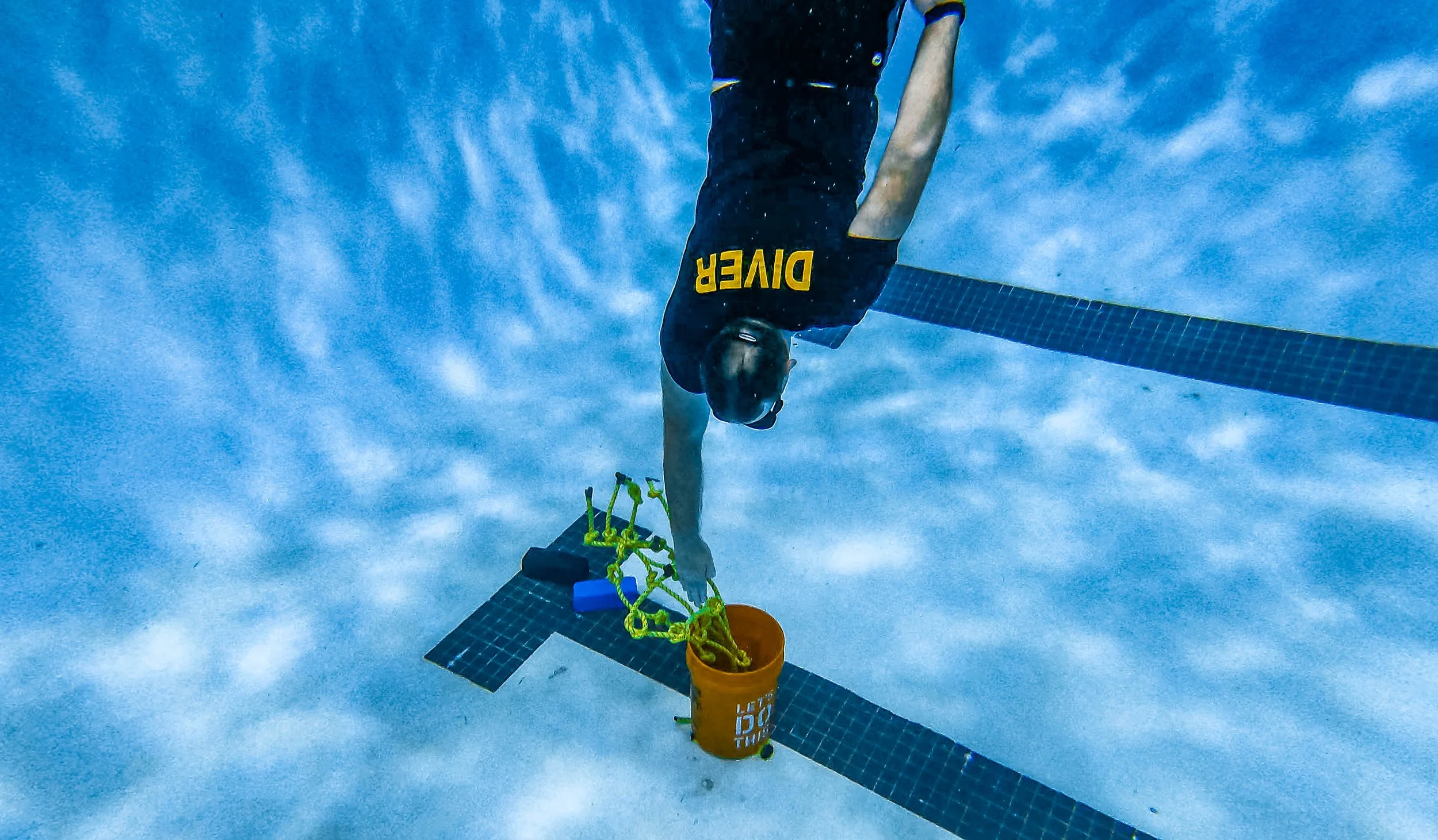 Screen Shot 2022-02-14 at 12.23.03 PM.jpg