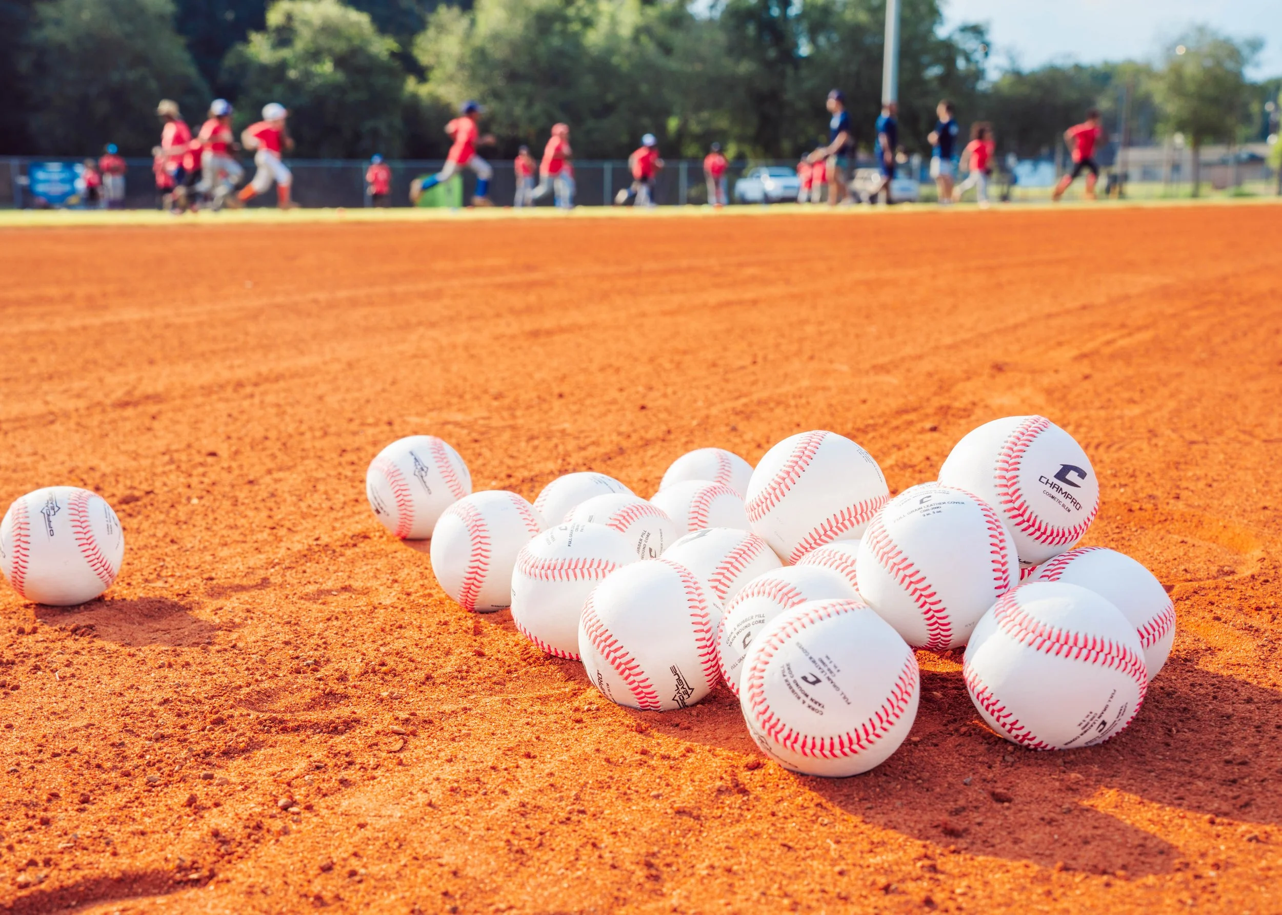 PAL Baseball | August 2024 |