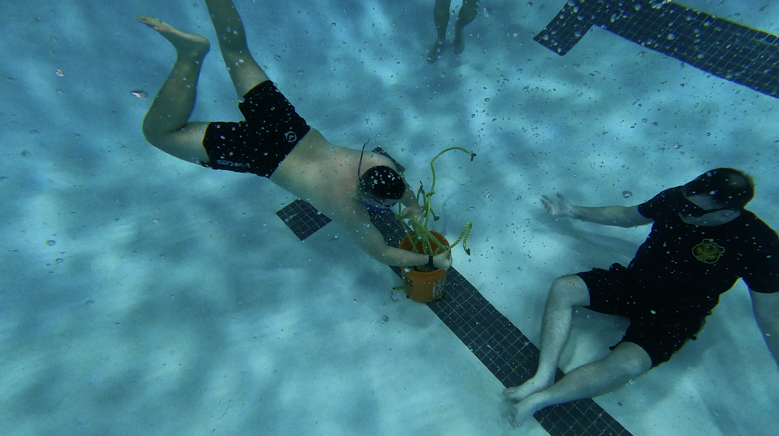 Screen Shot 2022-02-14 at 12.27.00 PM.png