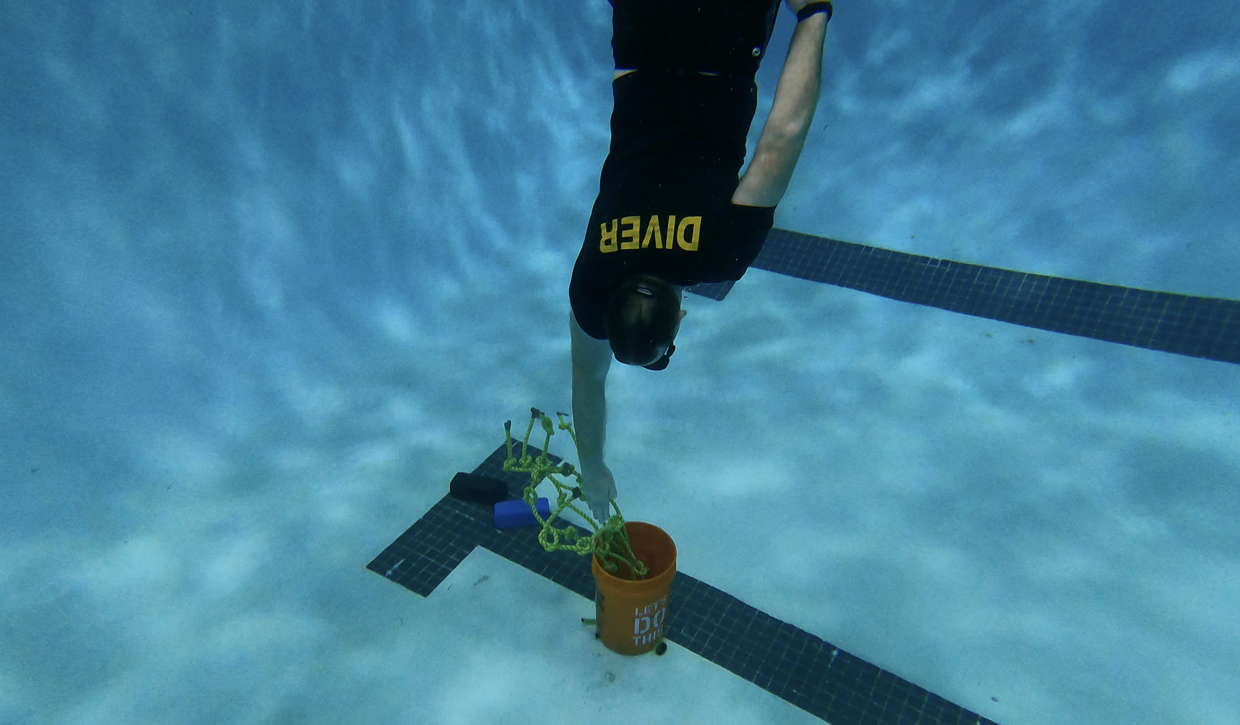 Screen Shot 2022-02-14 at 12.23.03 PM.png