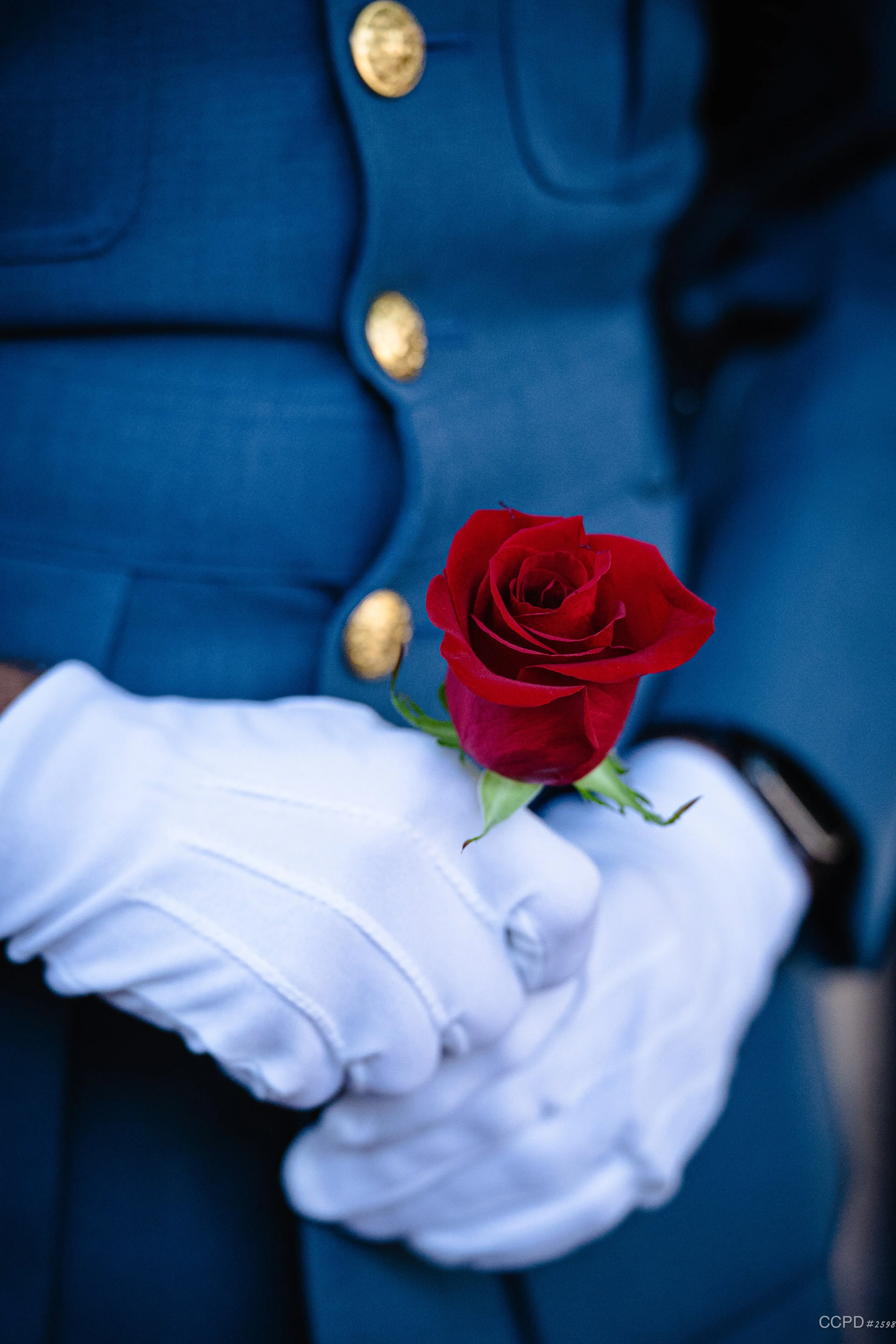 HG2025-12-11 at 11.03.57 AM 5.jpg