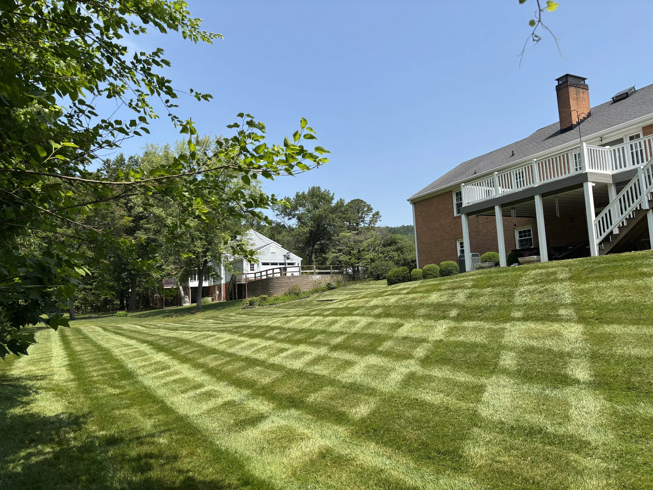A well-maintained backyard with green striped grass, a large two-story brick house with a white balcony and staircase, and another house visible in the background surrounded by trees under a clear blue sky.
