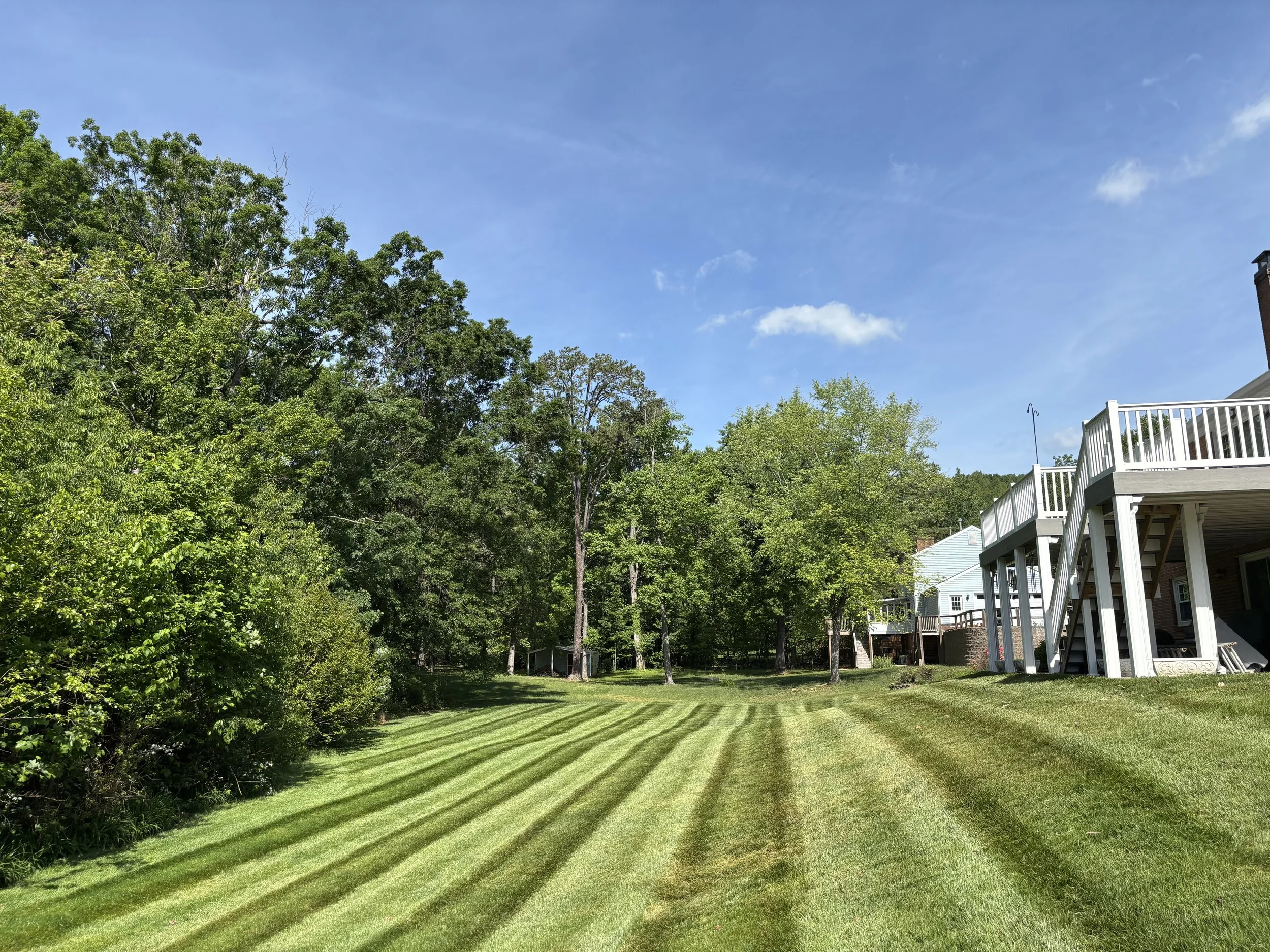 A backyard with a well-maintained grassy lawn, trees on the left, and a house with a deck on the right under a clear blue sky.