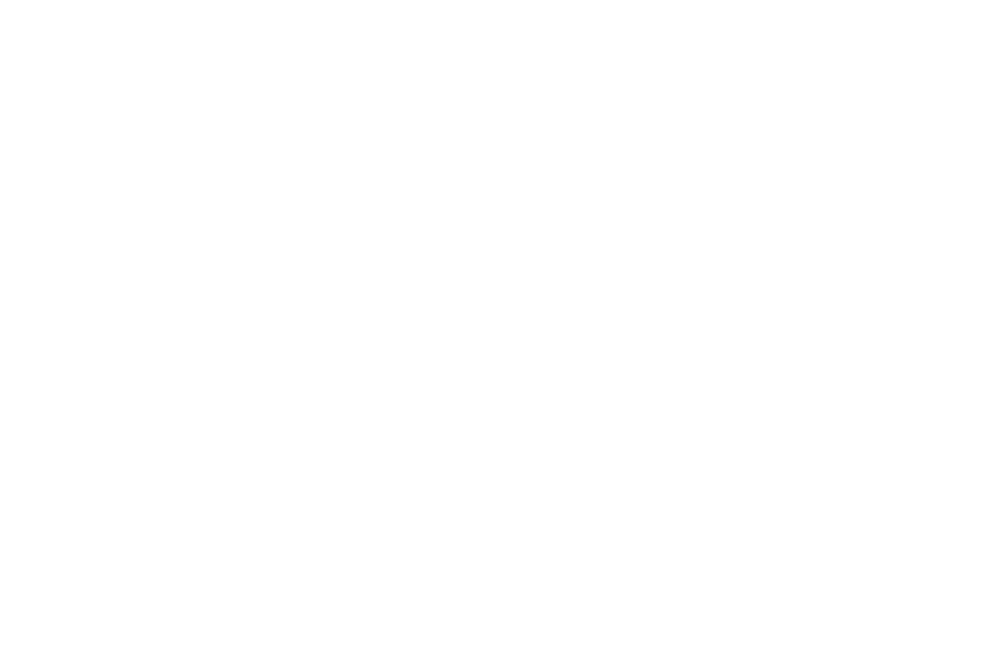 Liquid Flow Consulting 