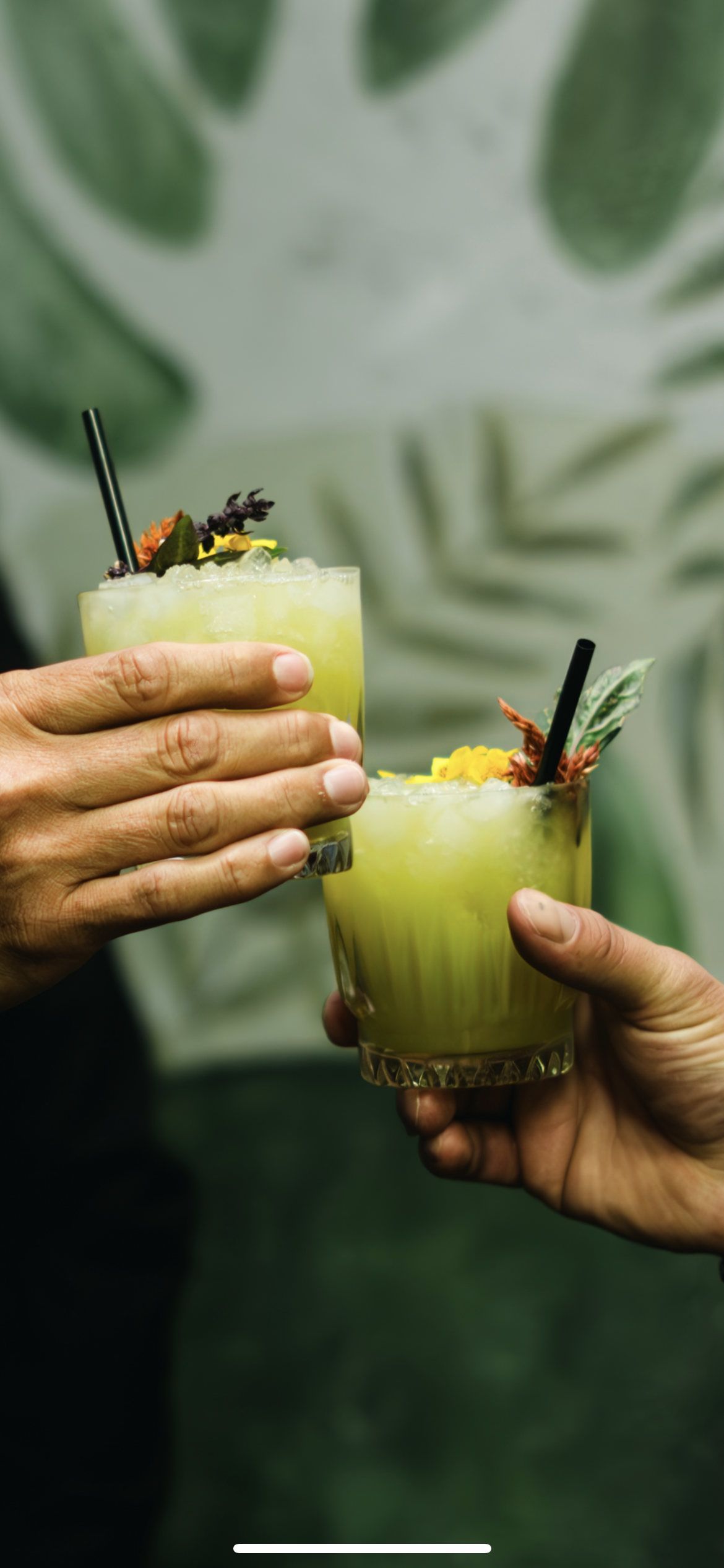 Patio Cheers IMG_3608.PNG