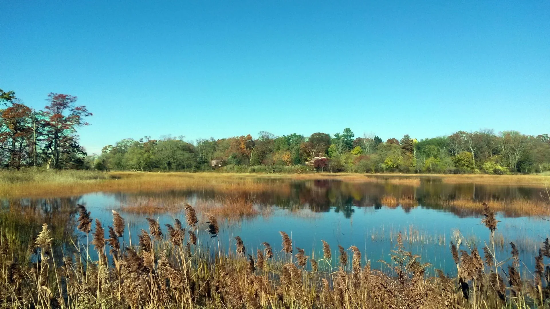 Post Morrow Foundation 2026 Fall Fundraiser – Connecting for Conservation
