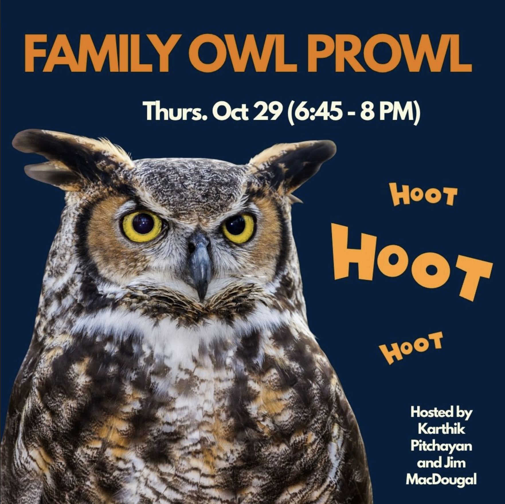 Family Owl Prowl