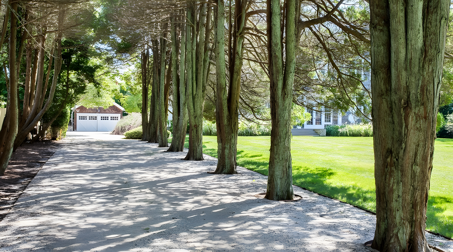 A shaded concrete pathway lined with tall trees leading to a white garage in a lush green yard with a house in the background.