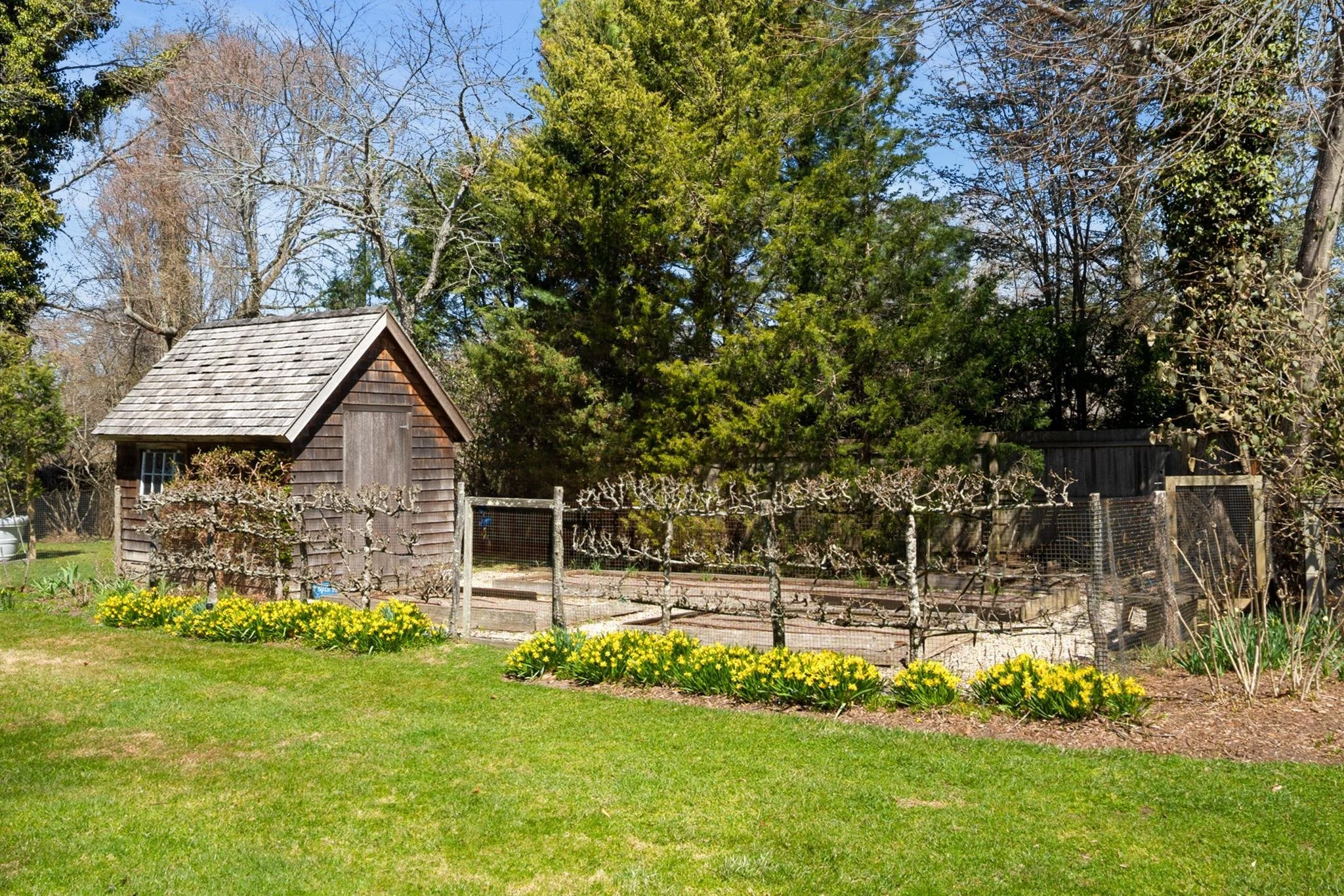 A garden with a small wooden shed, a fence, and rows of blooming yellow flowers, surrounded by lush green grass and tall trees under a clear blue sky.