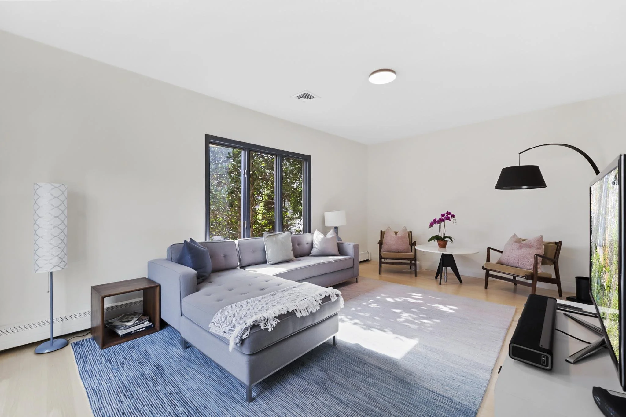 Living room with a gray sofa, blue area rug, black floor lamp, window showing greenery outside, white side table with books, and a TV on a stand on the right.