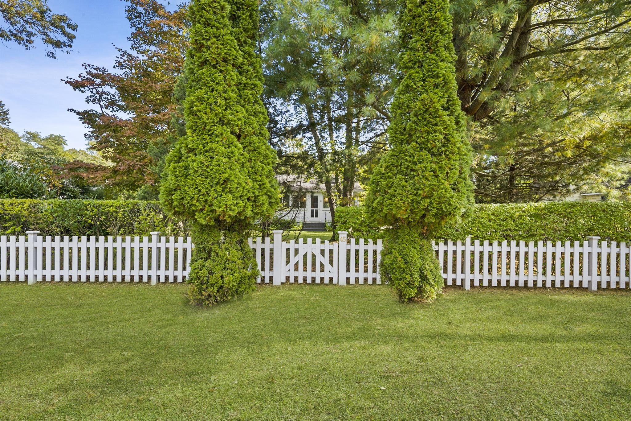 Green lawn in front of a white picket fence with tall, narrow evergreen trees in front of a house, and large leafy trees in the background.