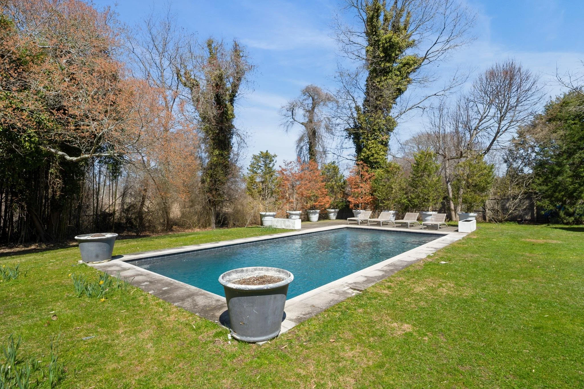 An outdoor swimming pool surrounded by a grassy yard with several empty lounge chairs, large white planters, and tall trees with some leaves in fall colors against a blue sky.