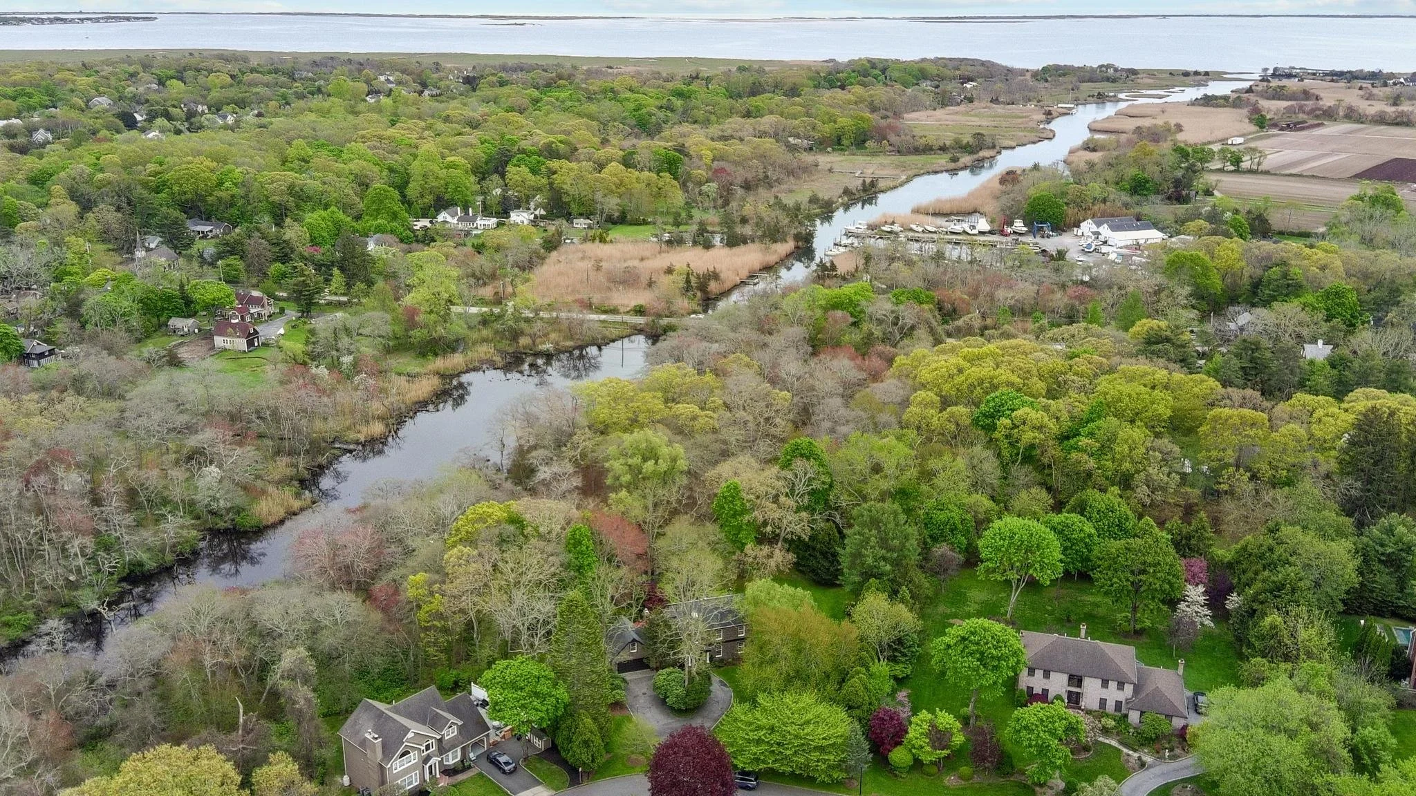 Aerial view of a residential area with houses surrounded by trees and greenery next to a winding river, with farmland and water bodies in the background.