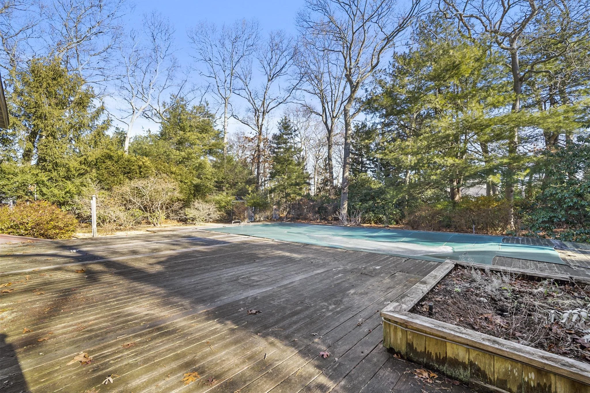 An outdoor scene showing a wooden deck, a pool covered with a tarp, and trees with bare branches and some green foliage under a clear blue sky.