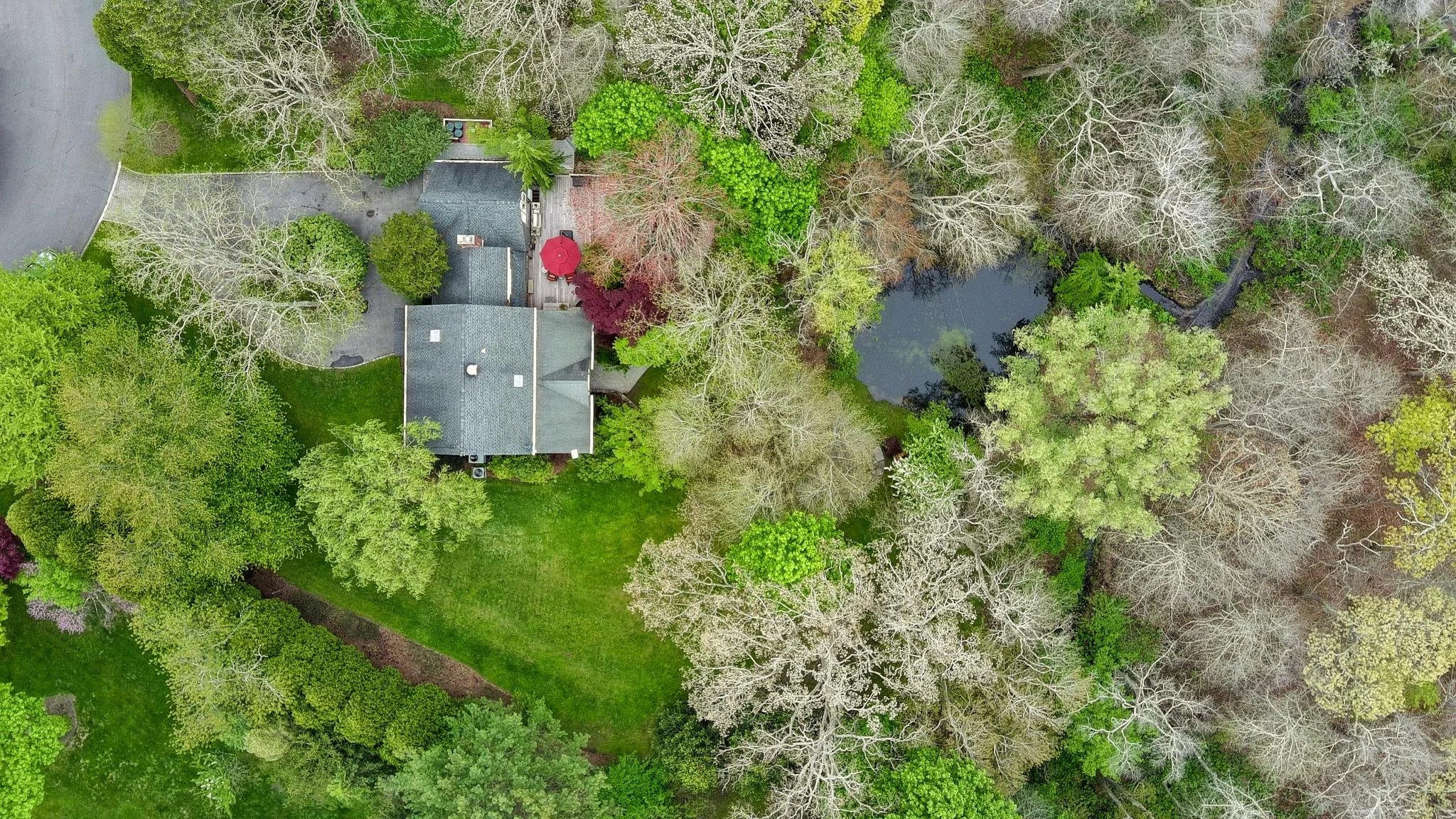 Aerial view of a residential backyard with a house, patio, and surrounding trees of varying green shades.