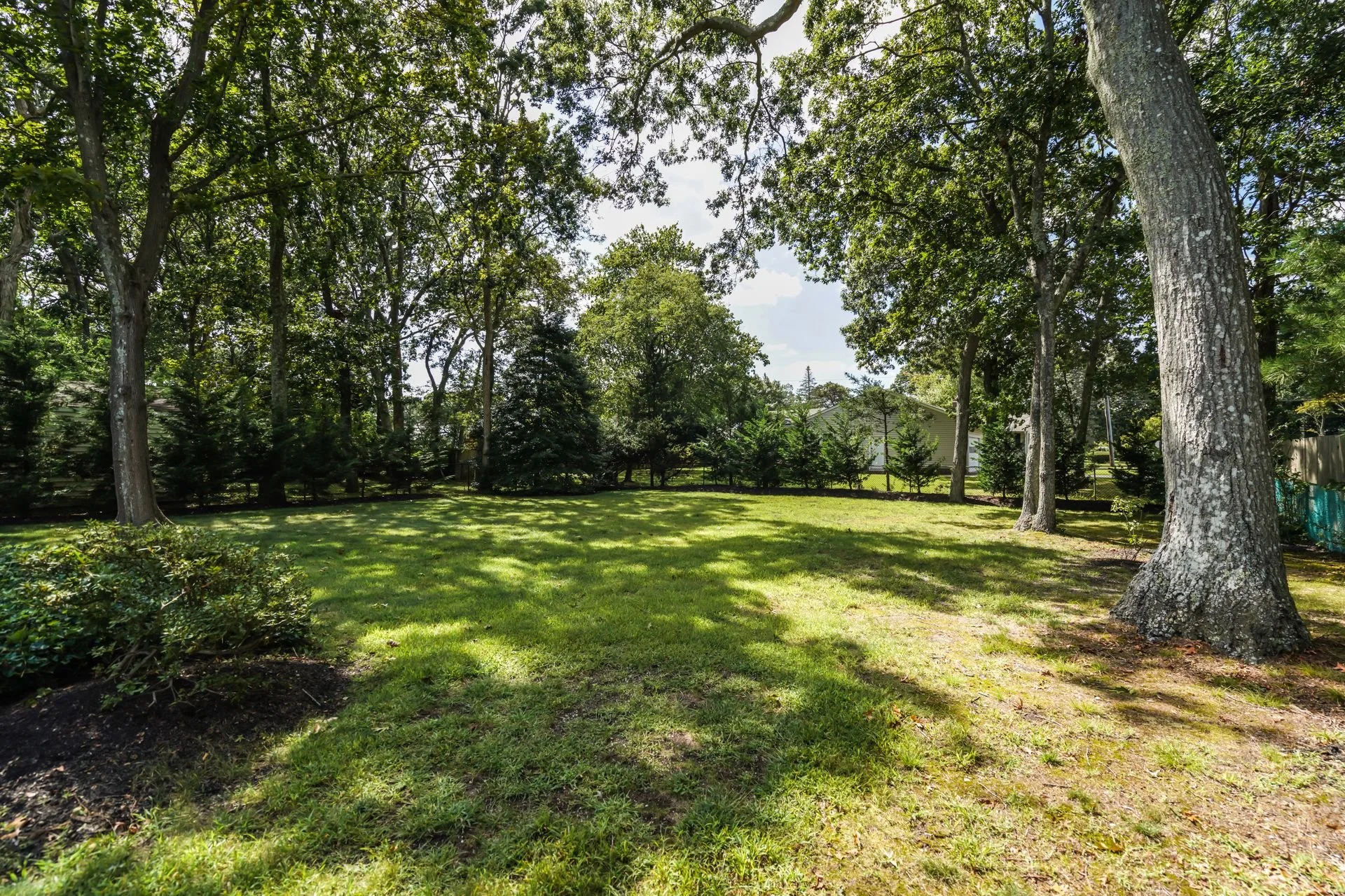 A backyard with lush green grass, large mature trees providing shade, and a fence in the background. A house is partially visible through the trees.