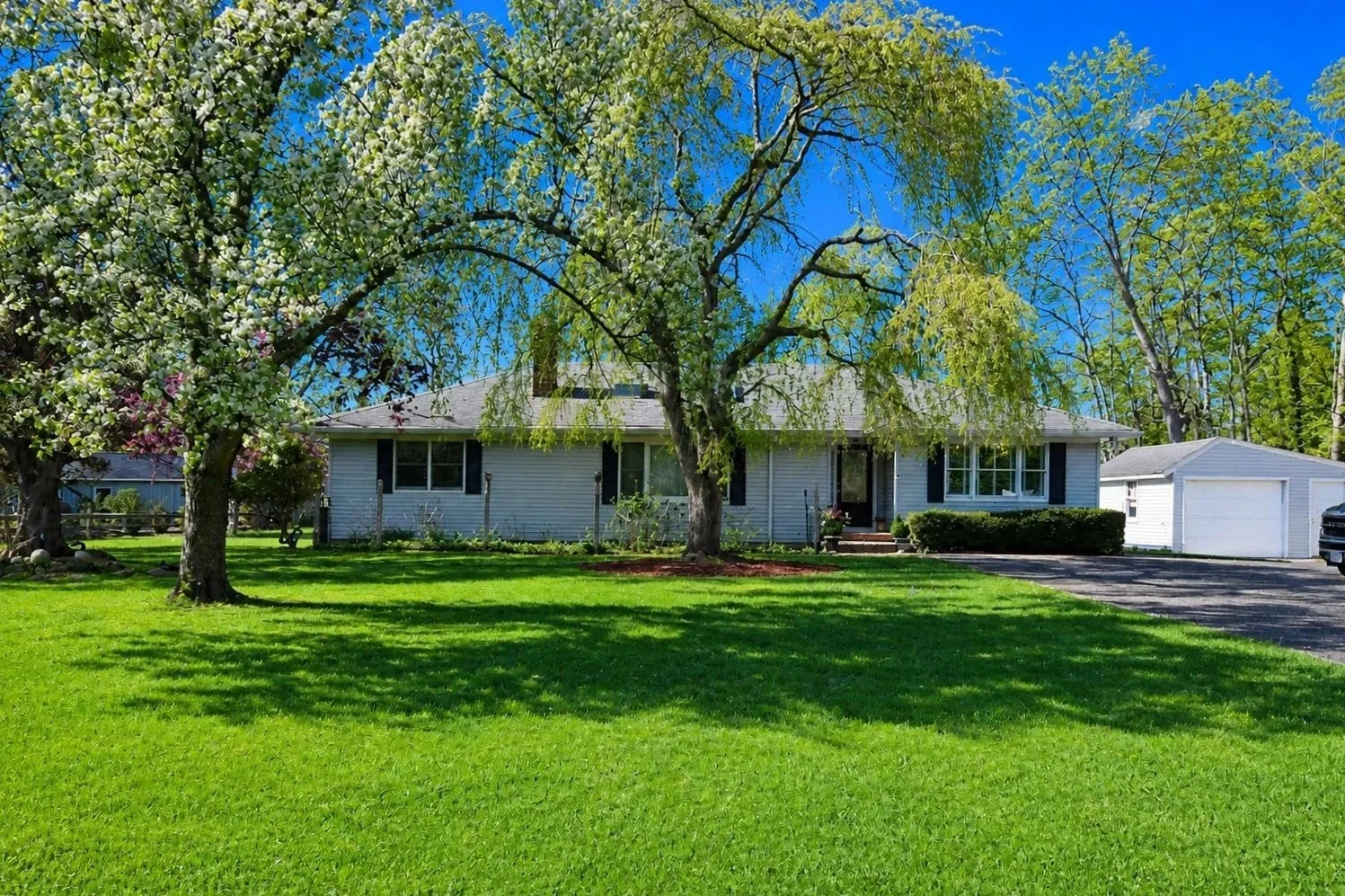 A house with white siding and a gray roof surrounded by green grass and trees, including one with white blossoms, under a clear blue sky.