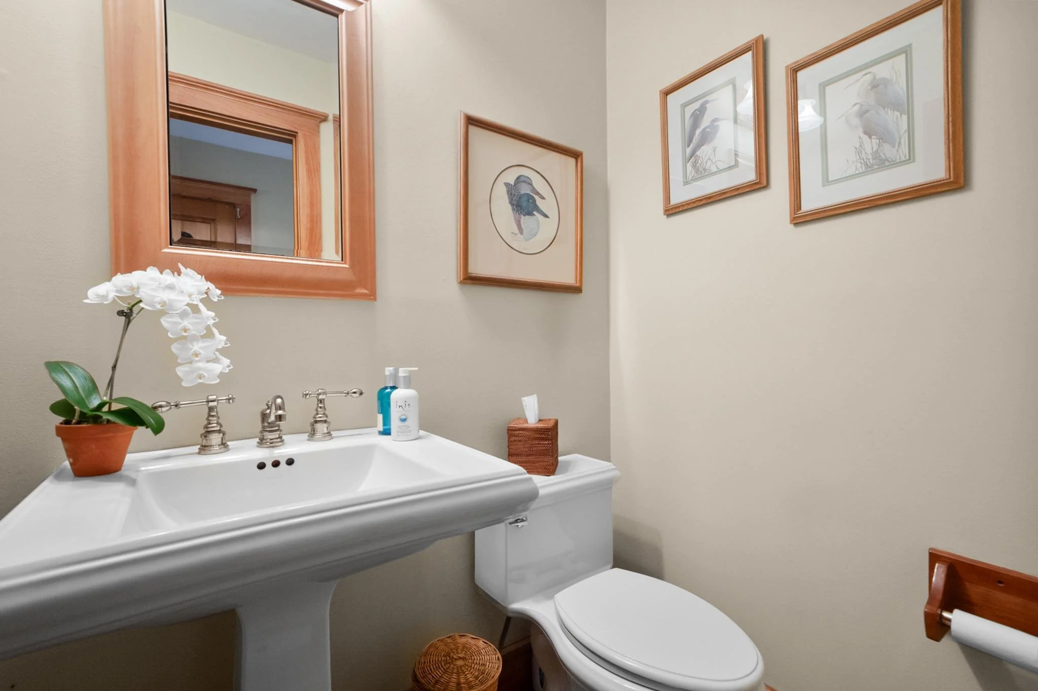 A bathroom sink with a mirror above it, decorated with a potted white orchid, bottles, and framed bird pictures on the wall.