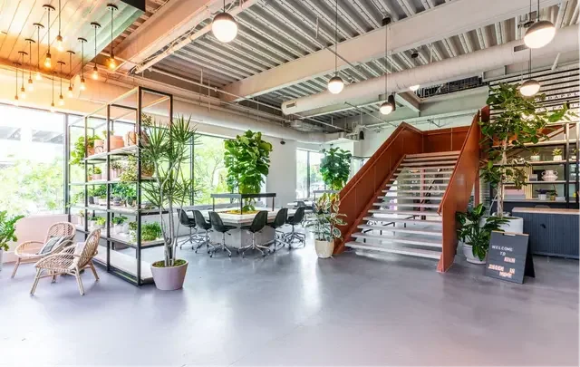 Bright modern office space with large windows, green plants, black chairs, and a staircase with wooden railing.