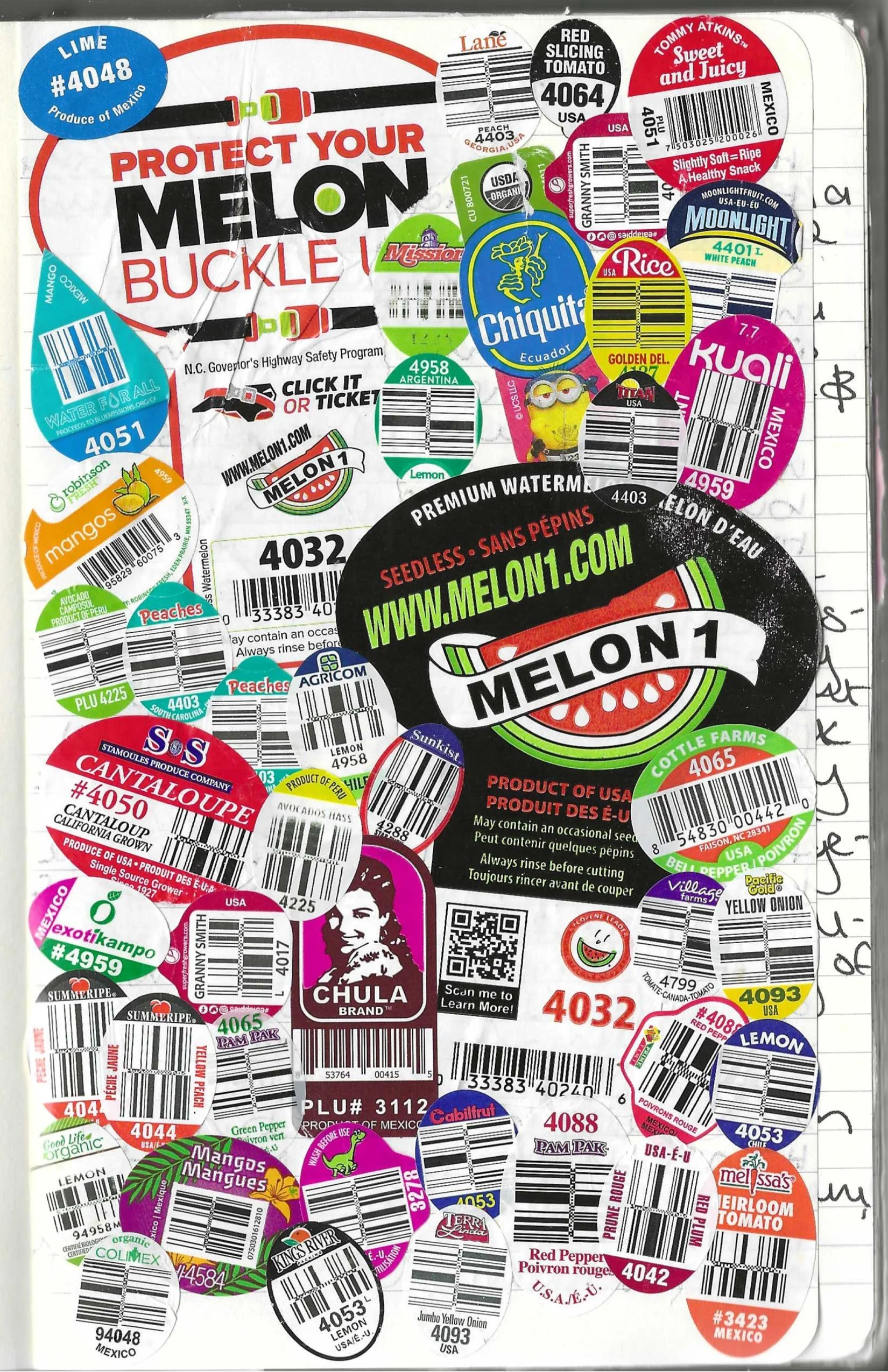 Fruit Stickers Summer 2024.jpeg