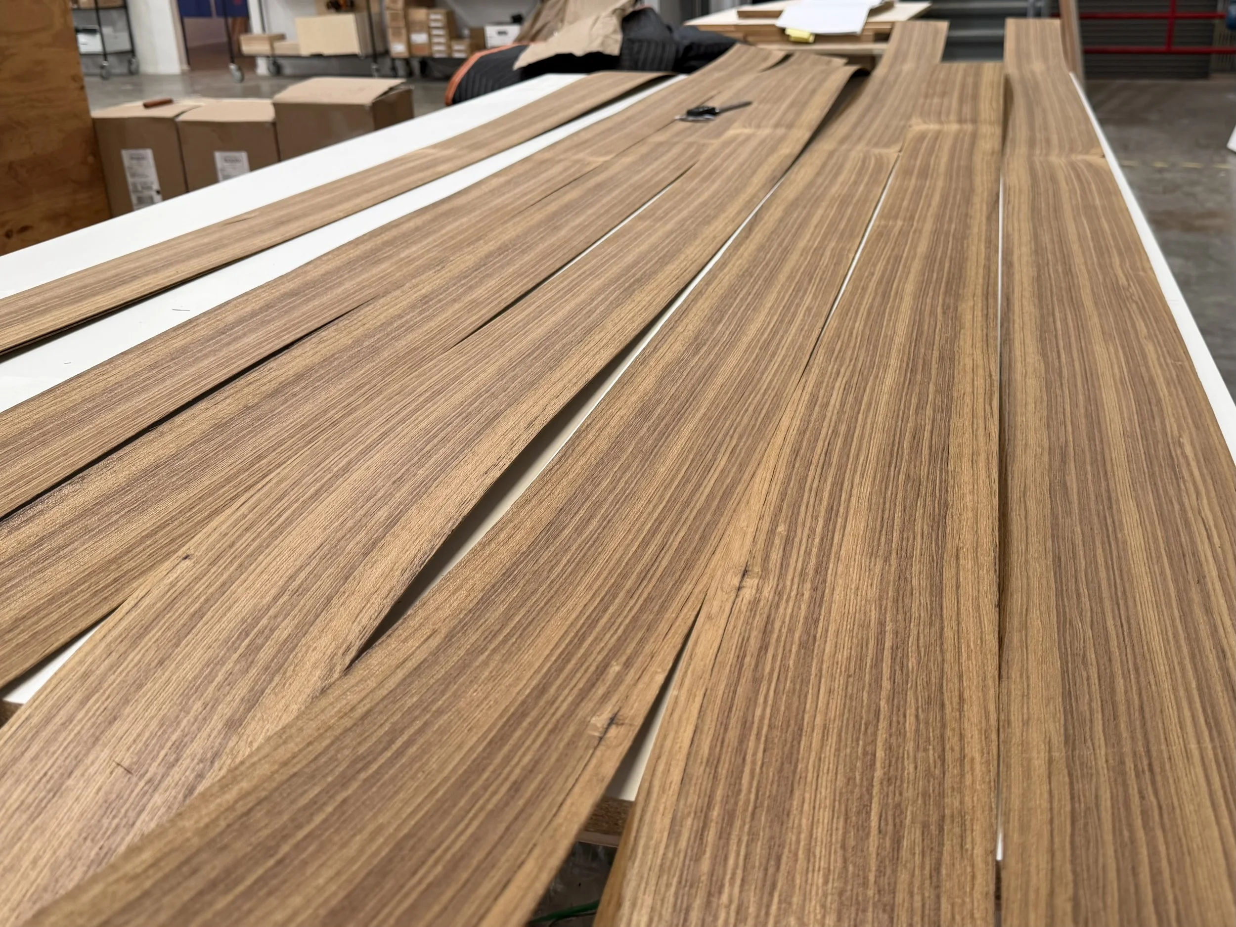 Teak veneer being prepped for pressing