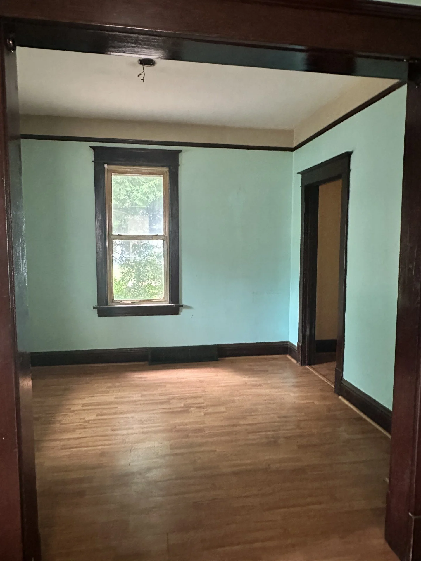 *Refresh trim - I LOVE the thick trim!
*New light fixture 
*Paint walls 
*Paint ceiling 
*New windows