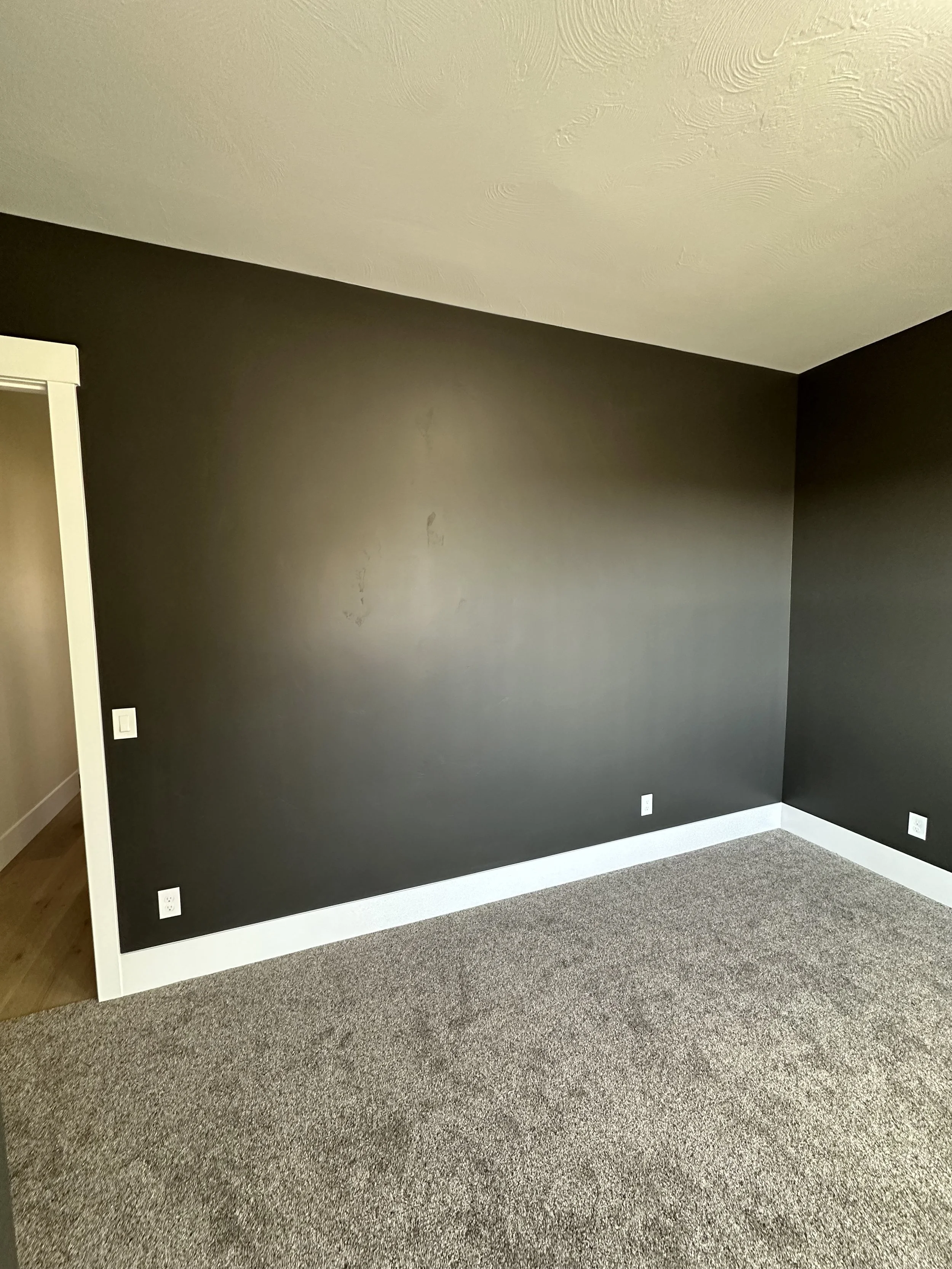 Empty room with dark gray walls, beige carpet, white baseboards, and a doorway on the left leading to another room.