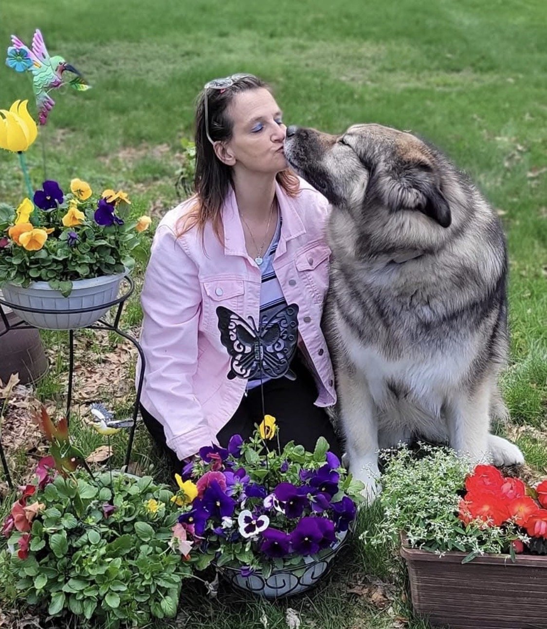 A woman and a large husky dog sharing a kiss outdoors near colorful flower pots and a garden pinwheel.