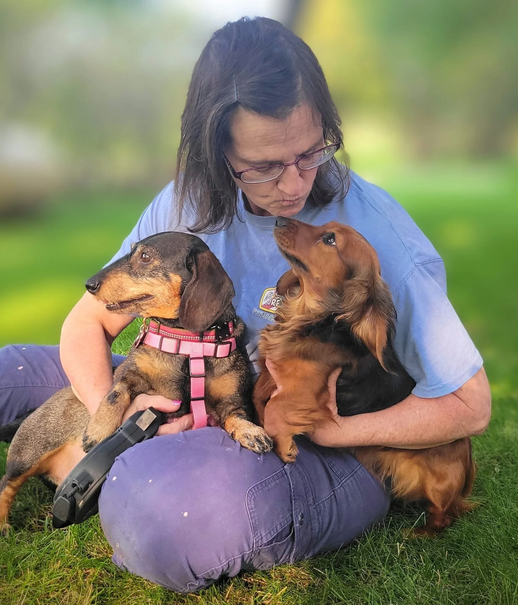 A woman sitting on grass holding two dachshund dogs, one black and brown, the other brown, in a park with a blurred green background.