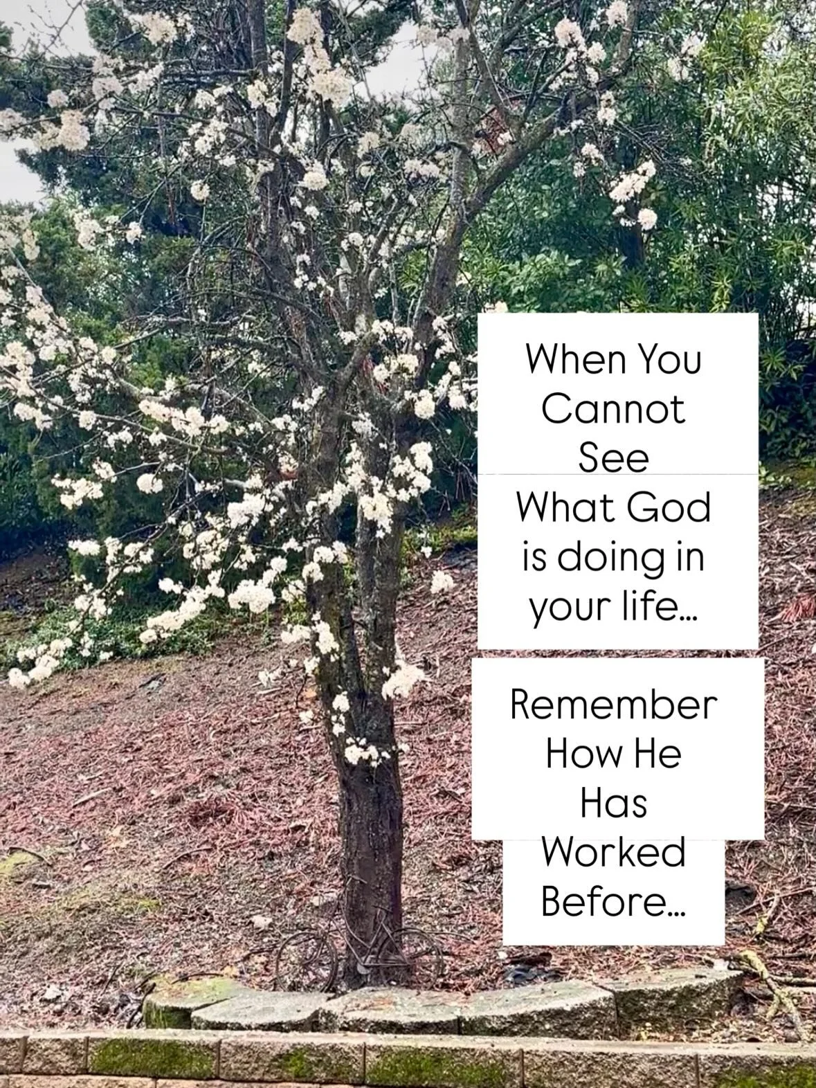 There are moments when we do not recognize what Jesus is doing.

In those moments, we remember how He has worked before.

Faith grows deeper when we learn to remember.

#BibleTeacher #ChristianLiving #SpiritLedFaith 🌿