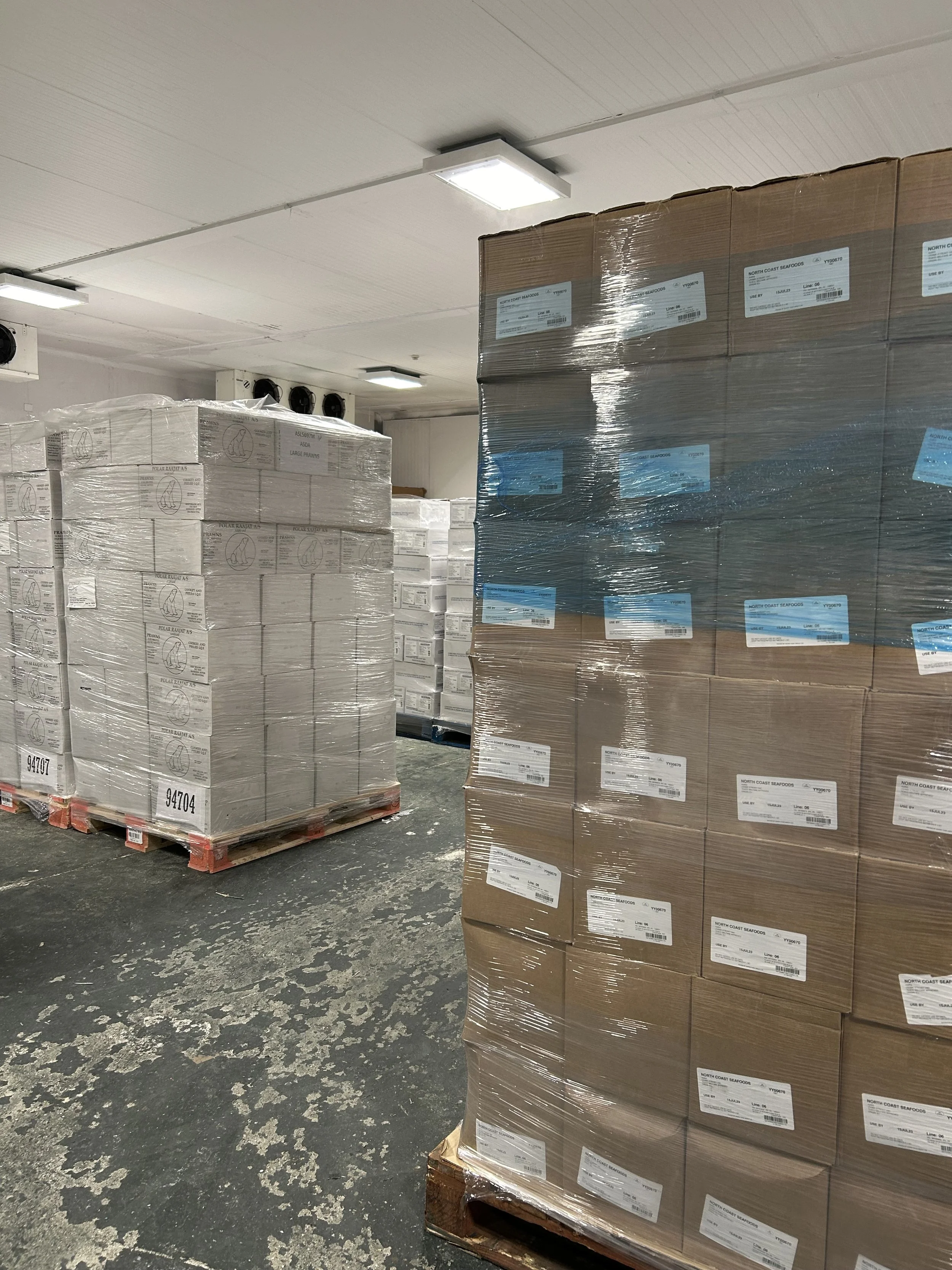 A storage room with palletized boxes wrapped in plastic, with barcode labels, on a worn gray concrete floor and a white ceiling with fluorescent lights.