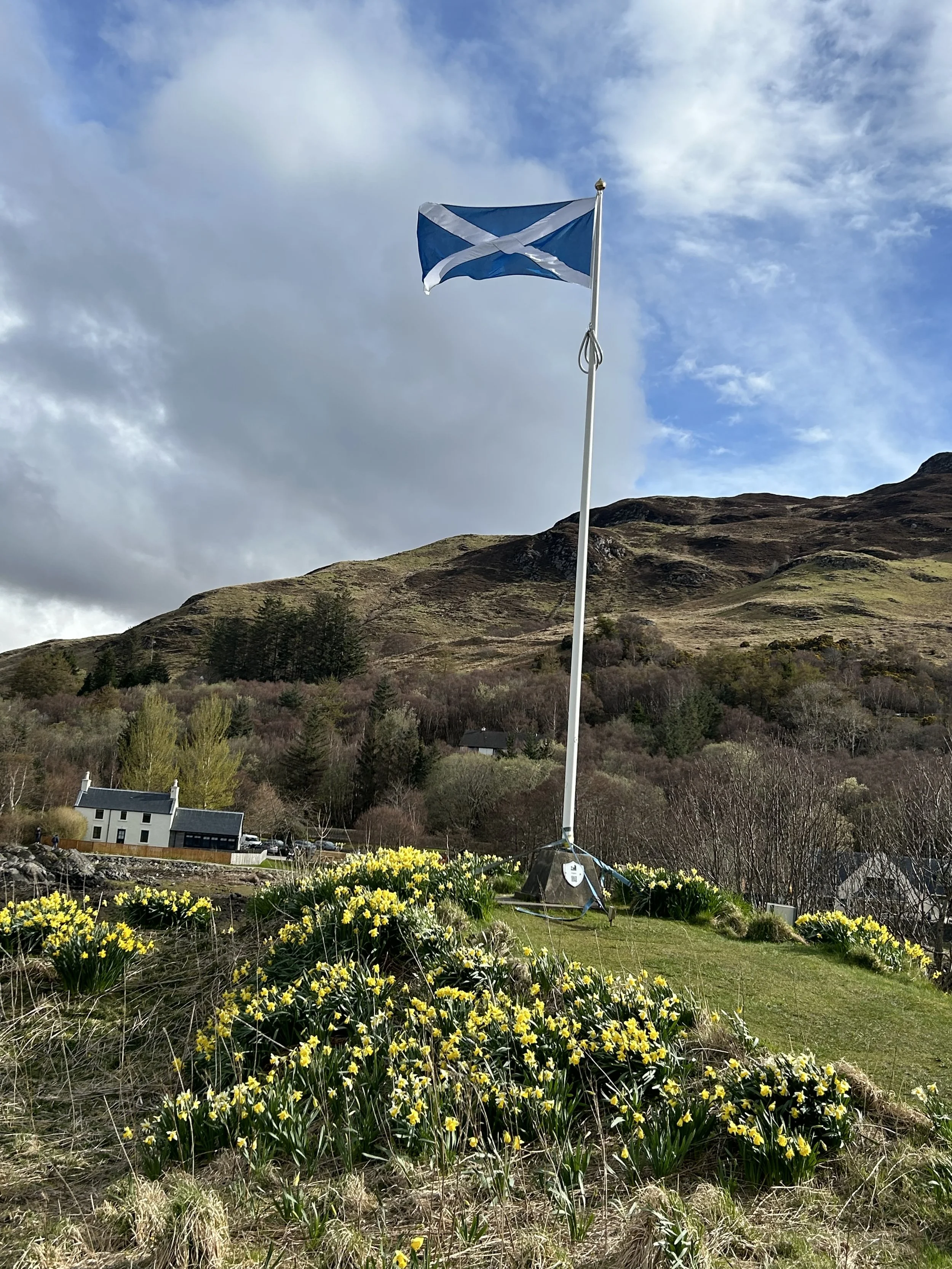 Scottish flag flying on a pole over a field of yellow flowers with hills and trees in the background under a cloudy sky.