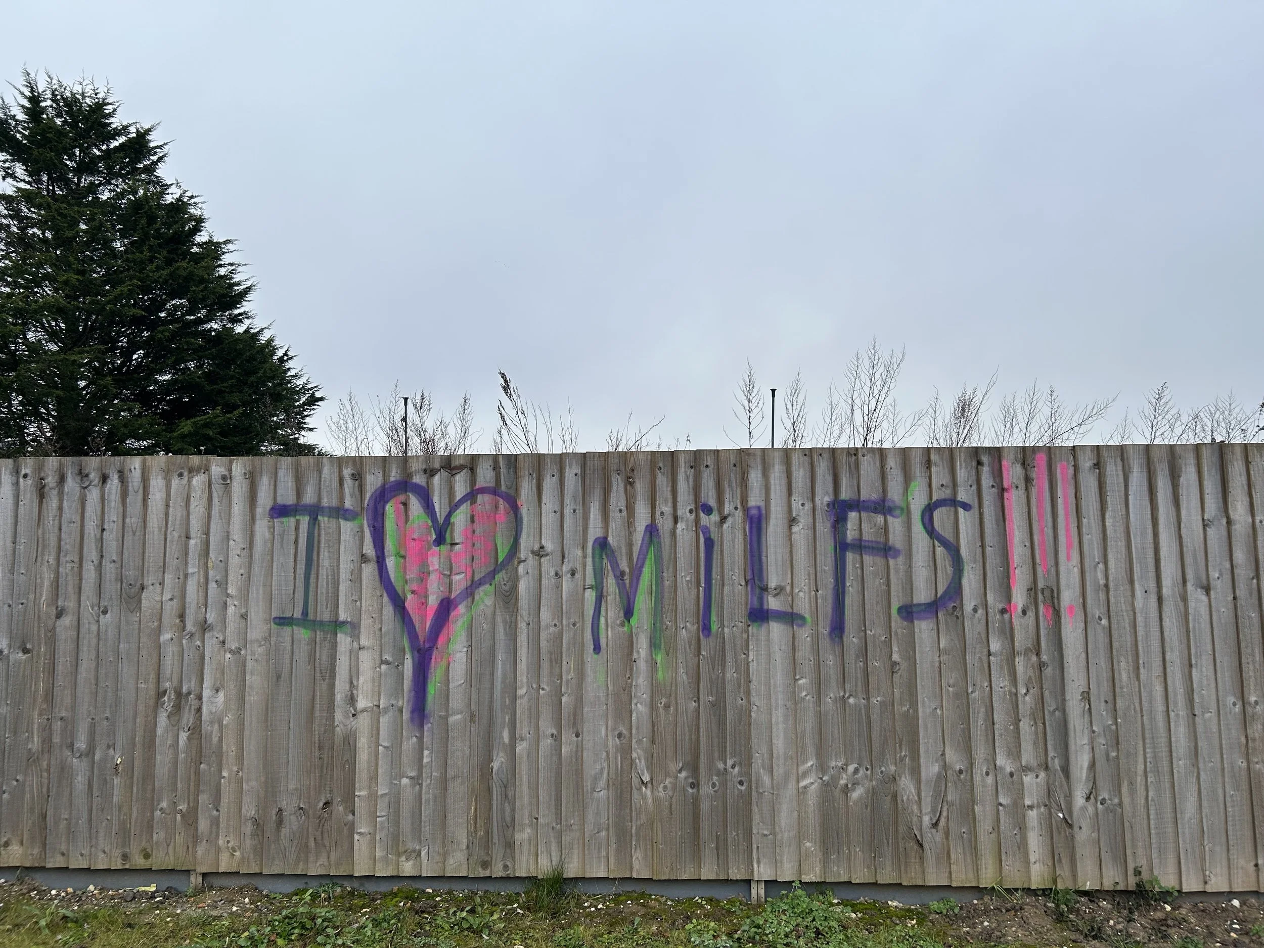 Graffiti on a wooden fence reads 'I ♥ MILES' in colorful spray paint, with a purple heart and the name Miles written in blue, pink, and green.