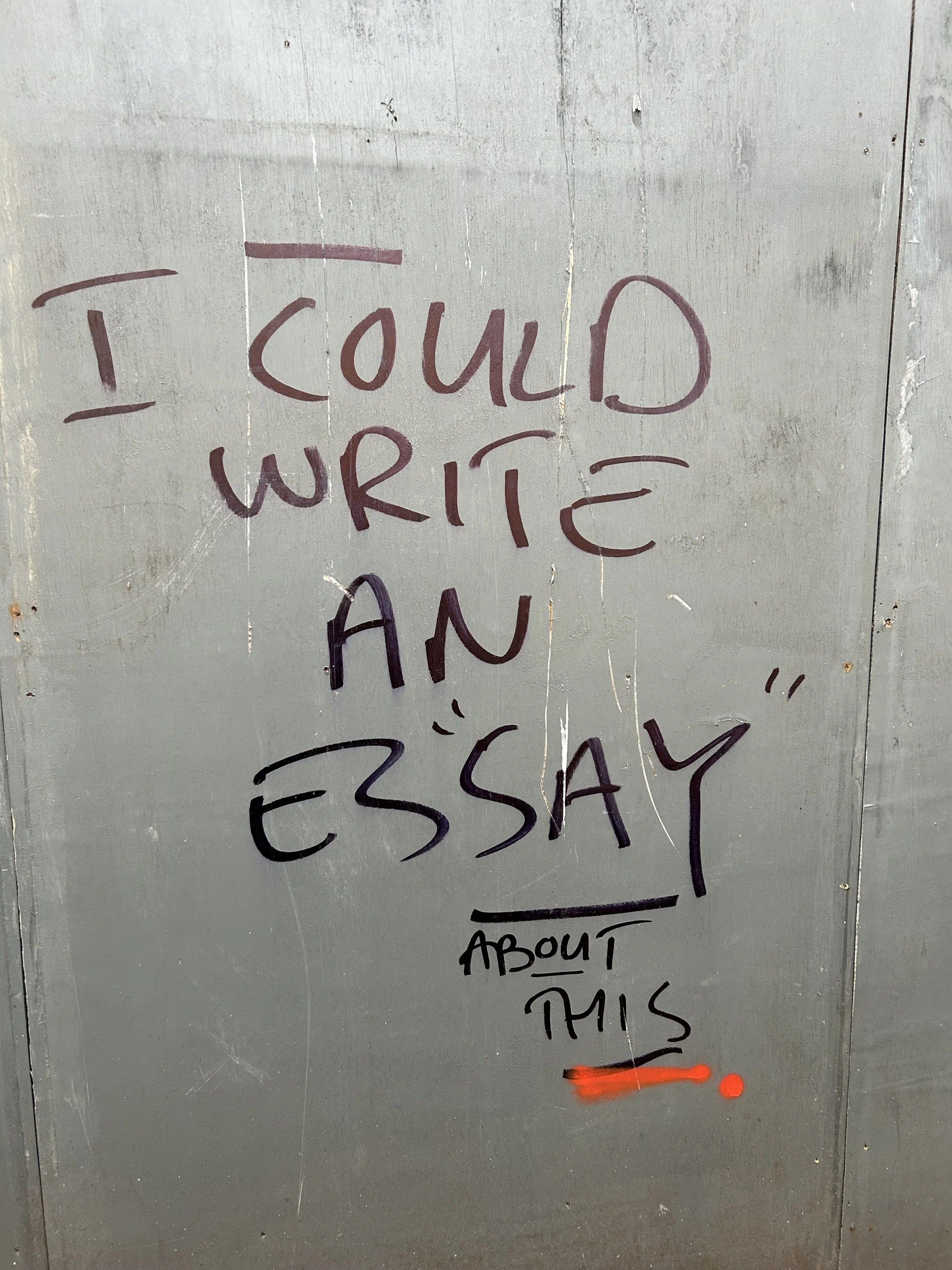 Graffiti on a gray wall that reads 'I could write an essay about this' with some words crossed out or underlined.